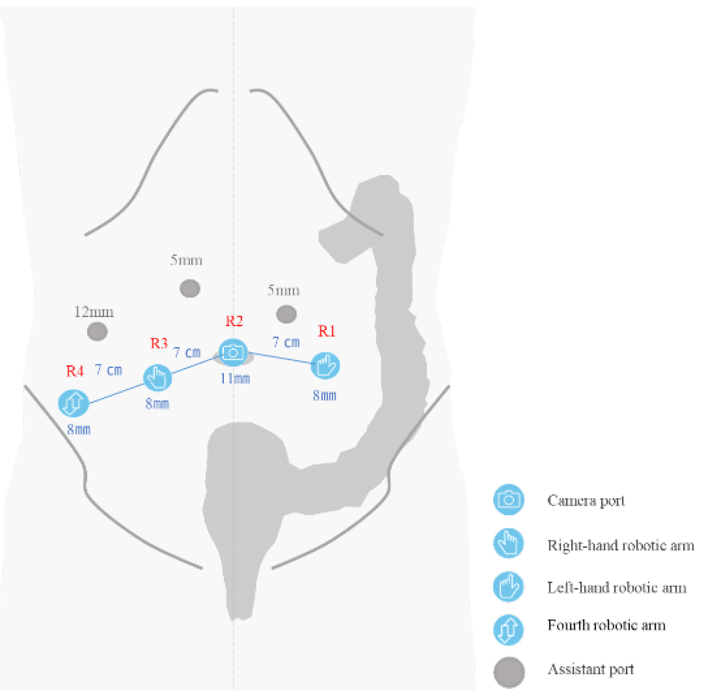 Preprints 170632 g002
