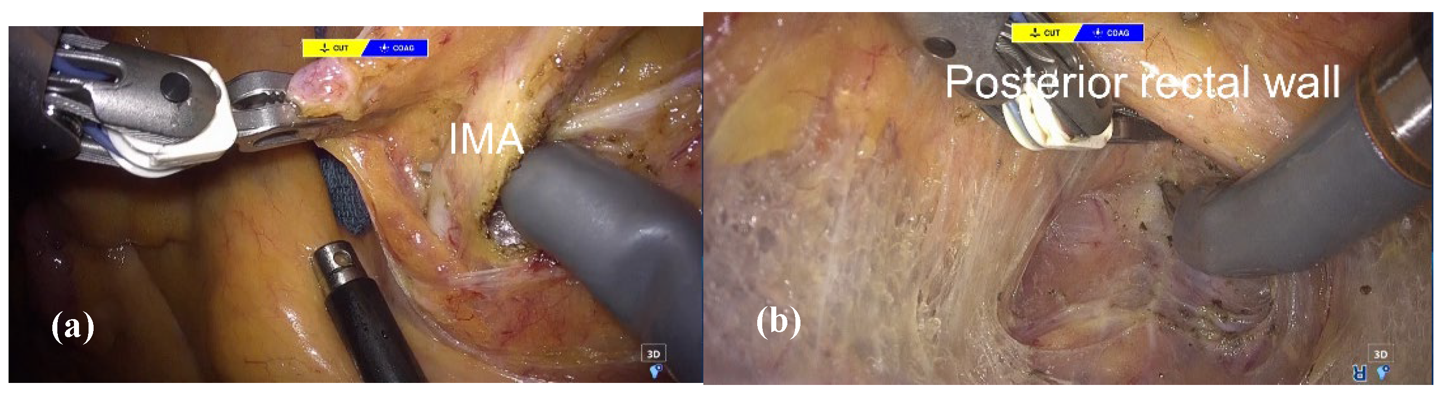 Preprints 170632 g004