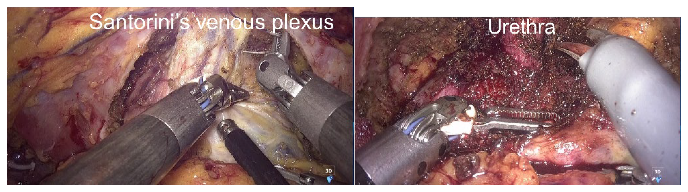 Preprints 170632 g006