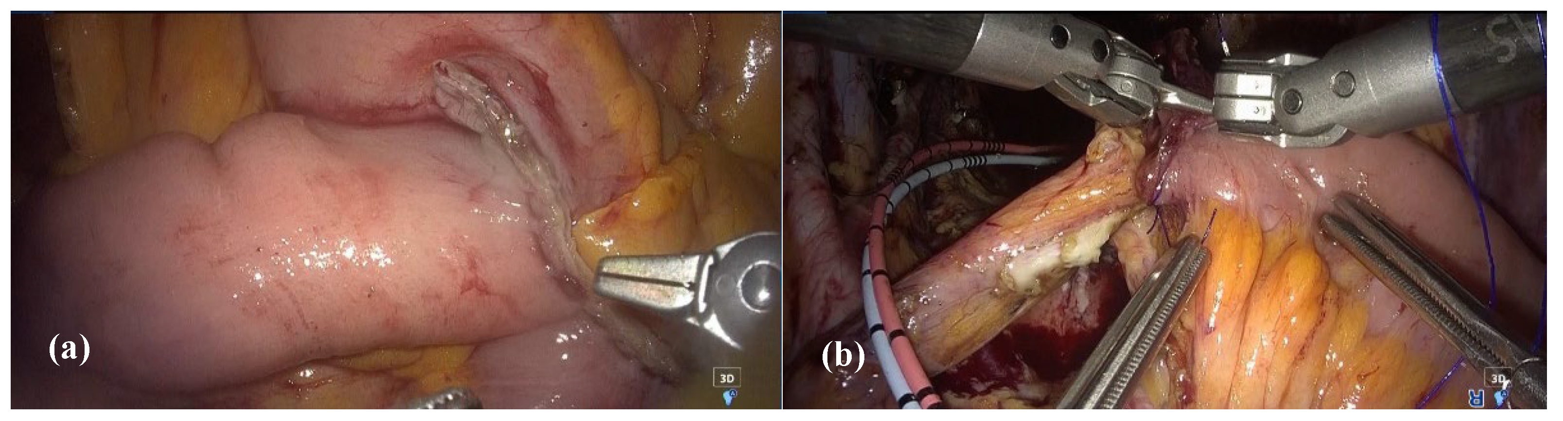 Preprints 170632 g007