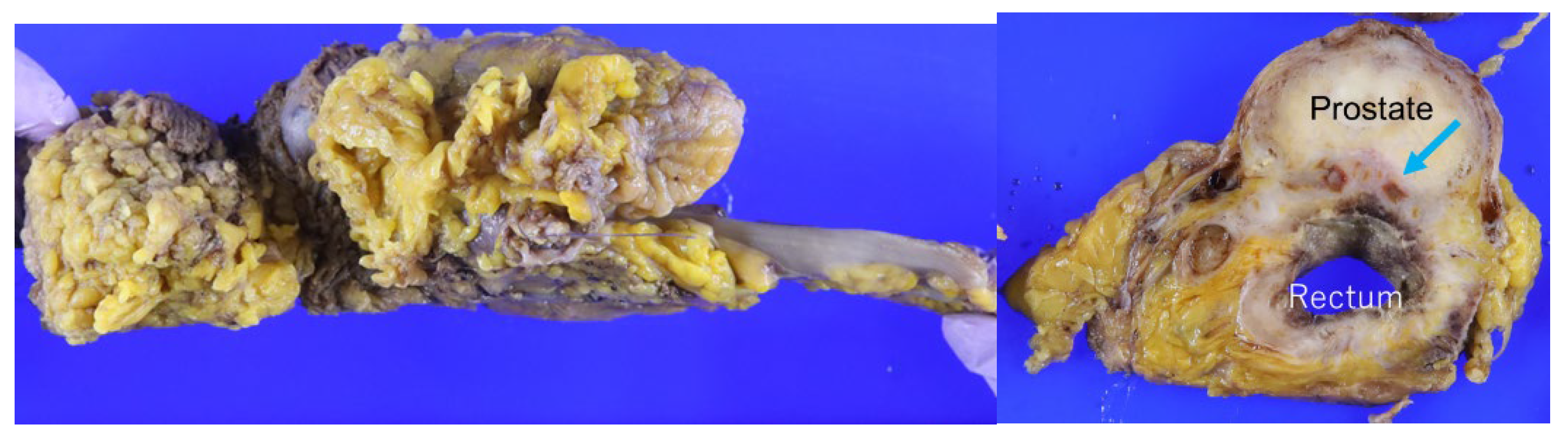 Preprints 170632 g008