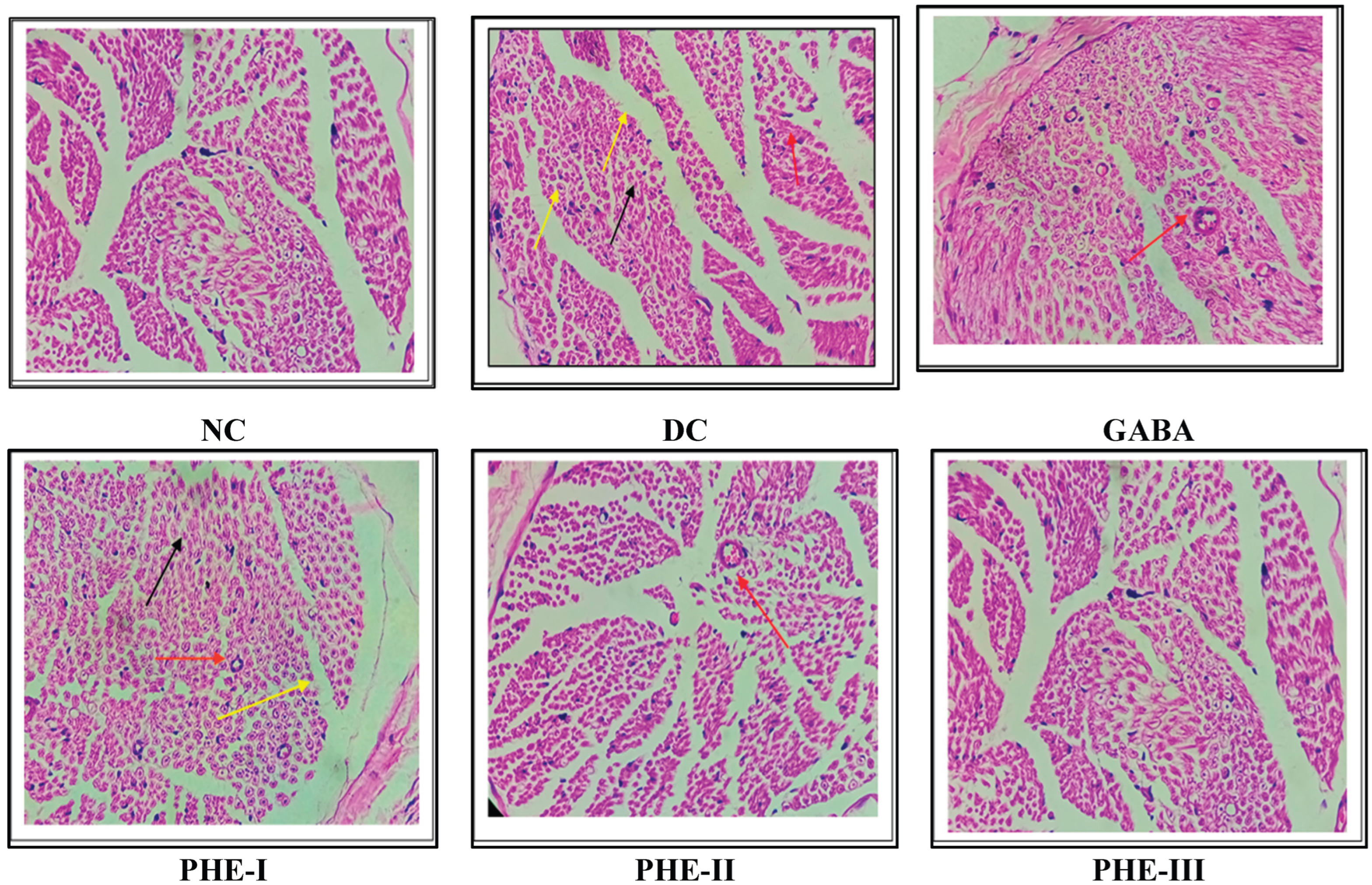 Preprints 208974 g004