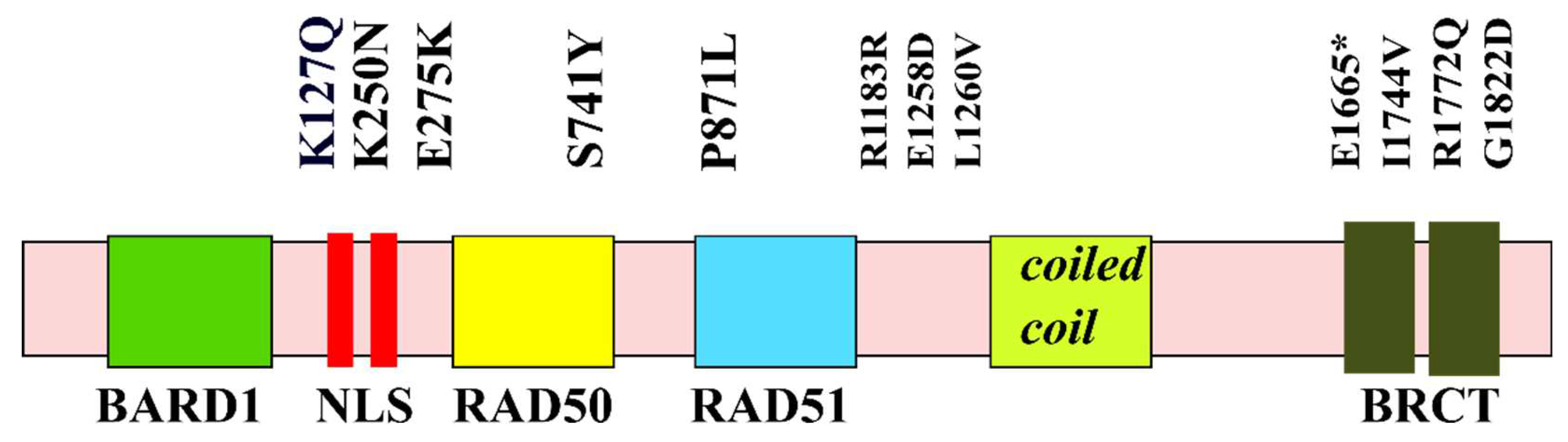Preprints 68575 g001