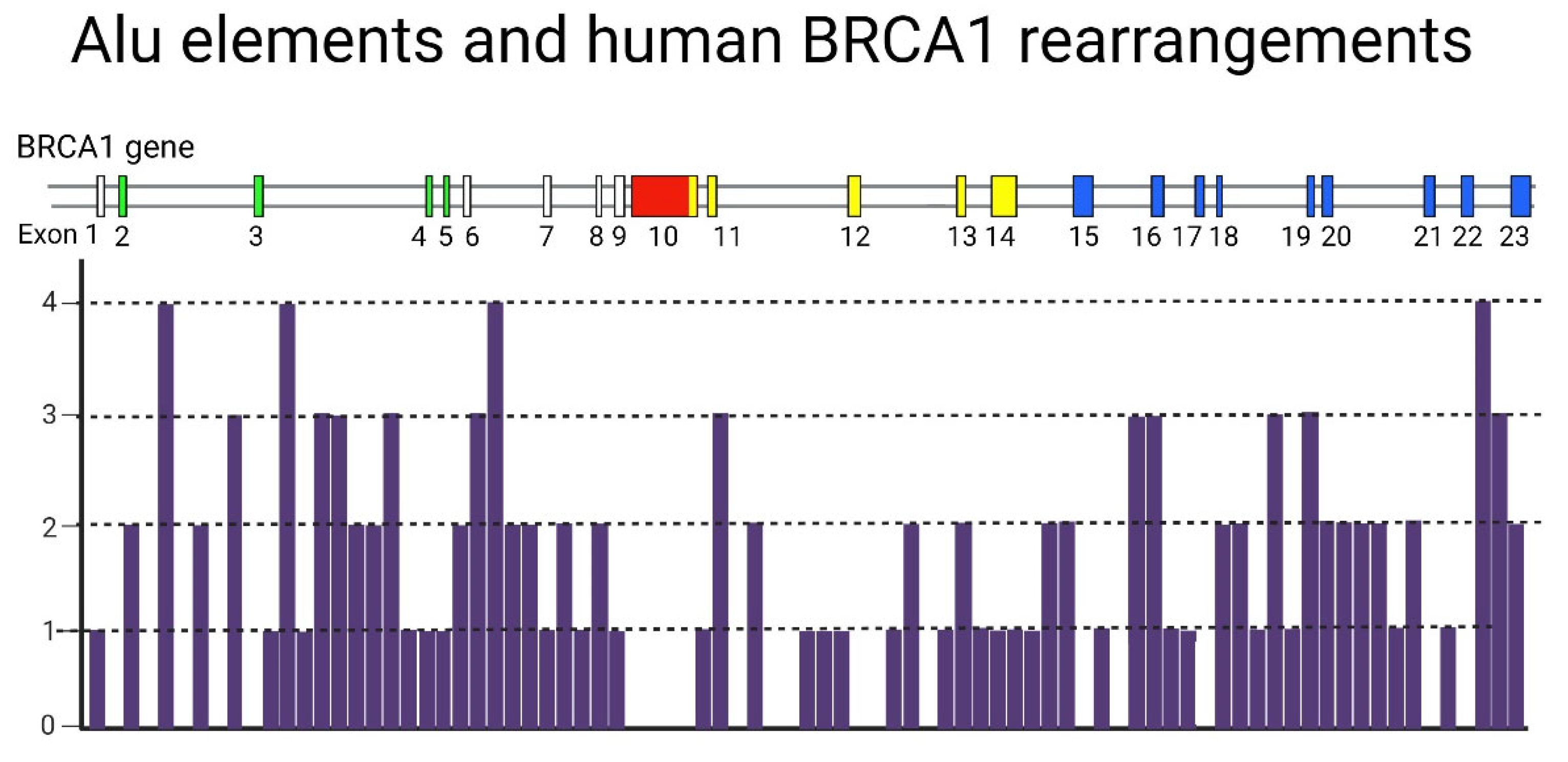 Preprints 68575 g002