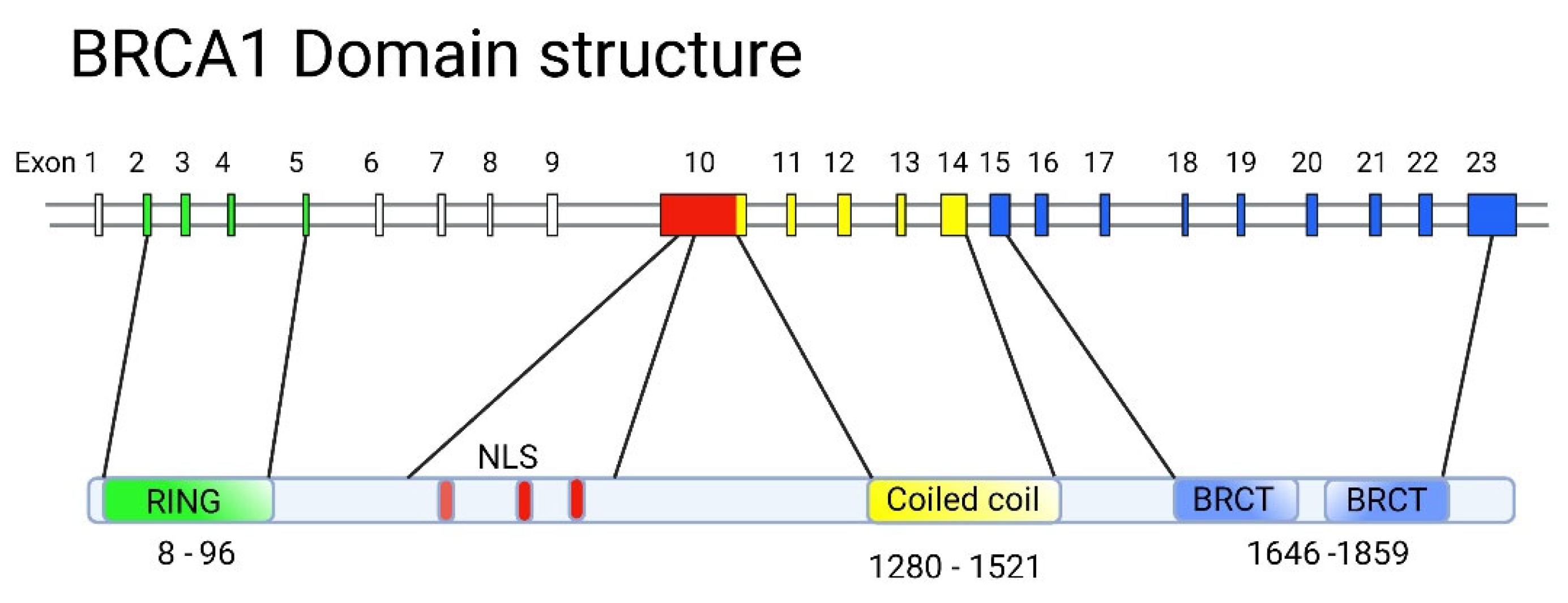 Preprints 68575 g003