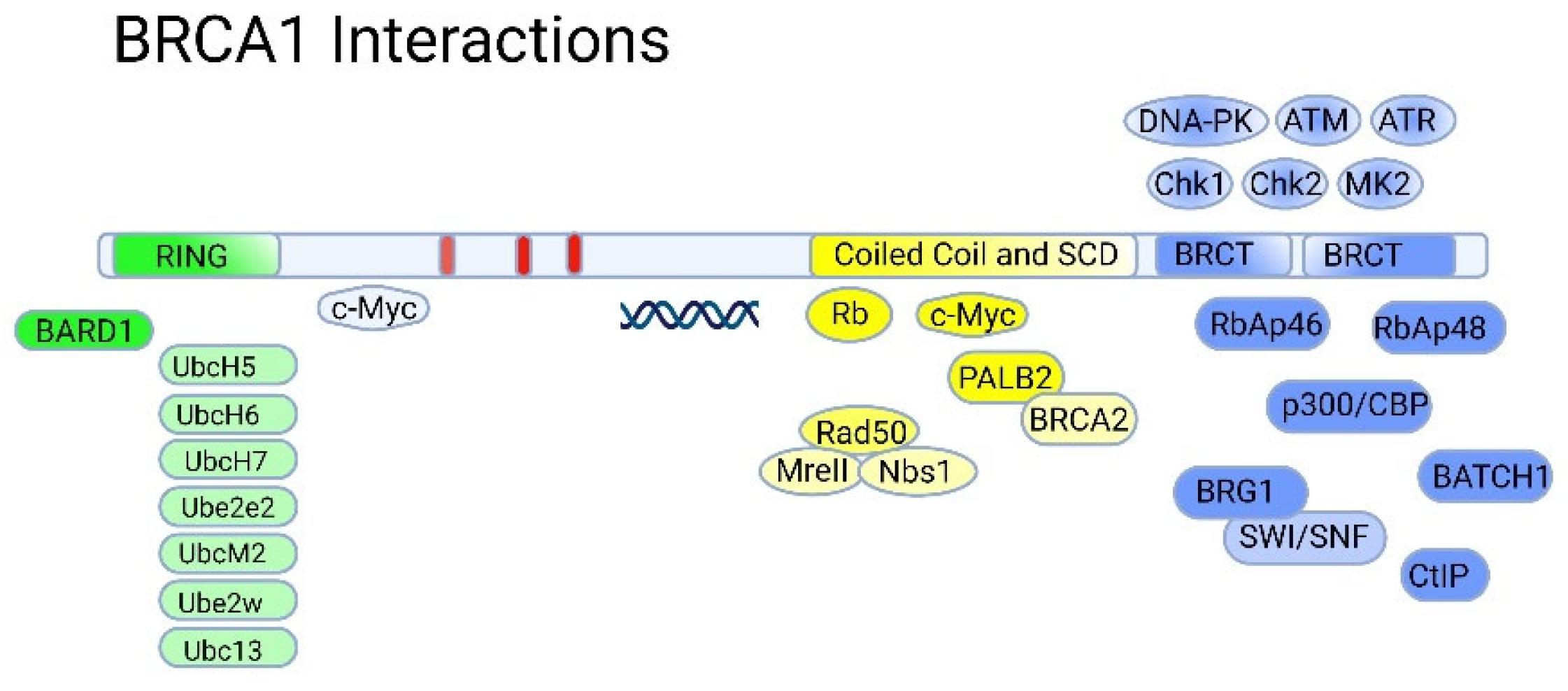 Preprints 68575 g004