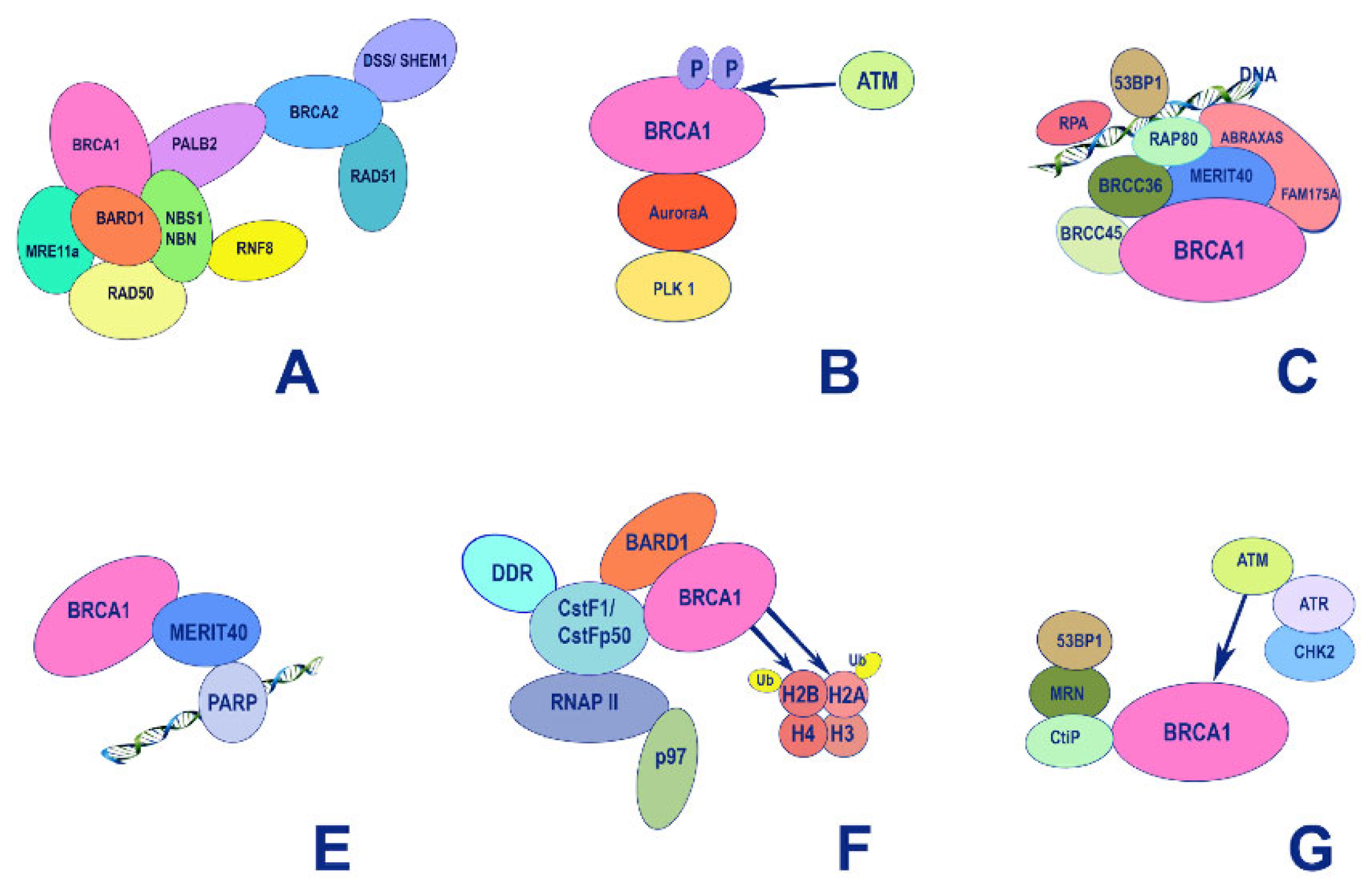 Preprints 68575 g005