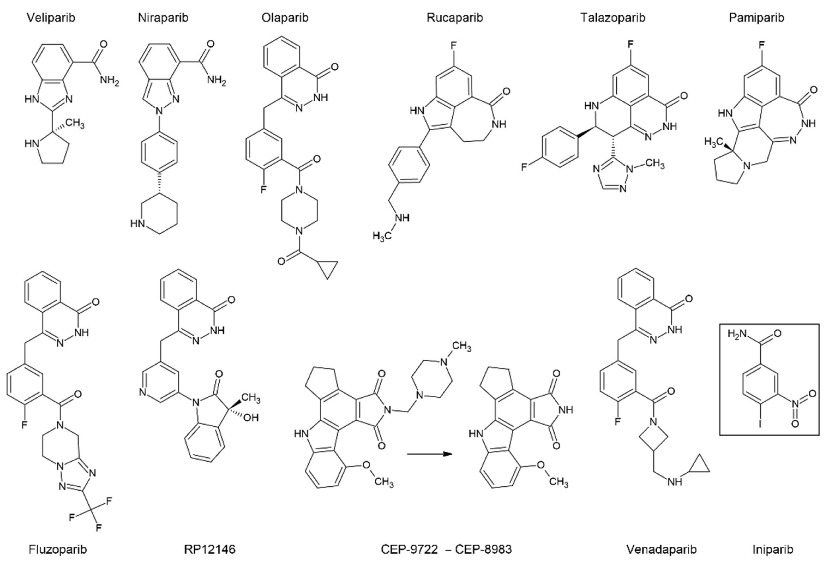 Preprints 68575 g007