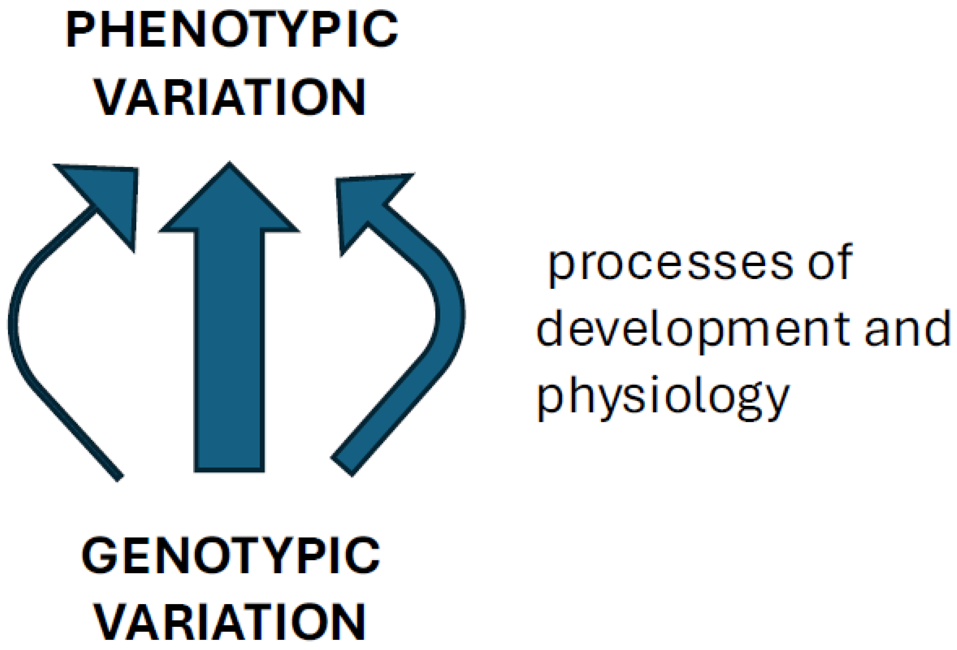 Preprints 158156 g001