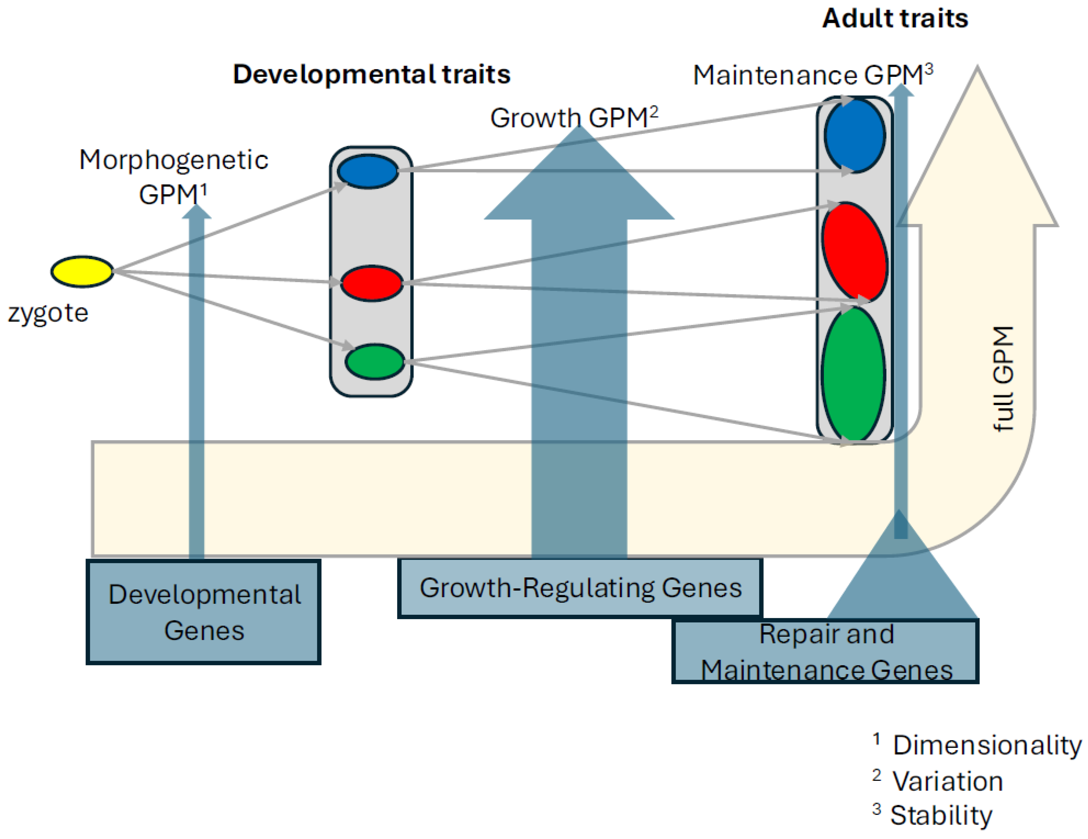 Preprints 158156 g003