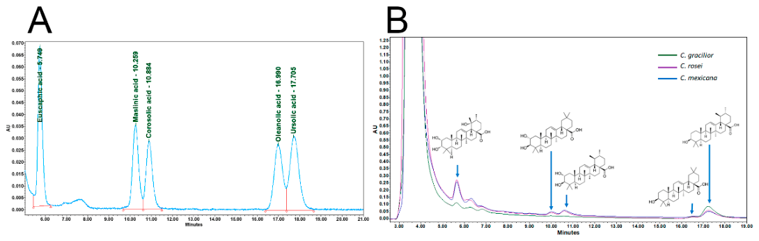 Preprints 222330 g001 Preprints 222330 g001
