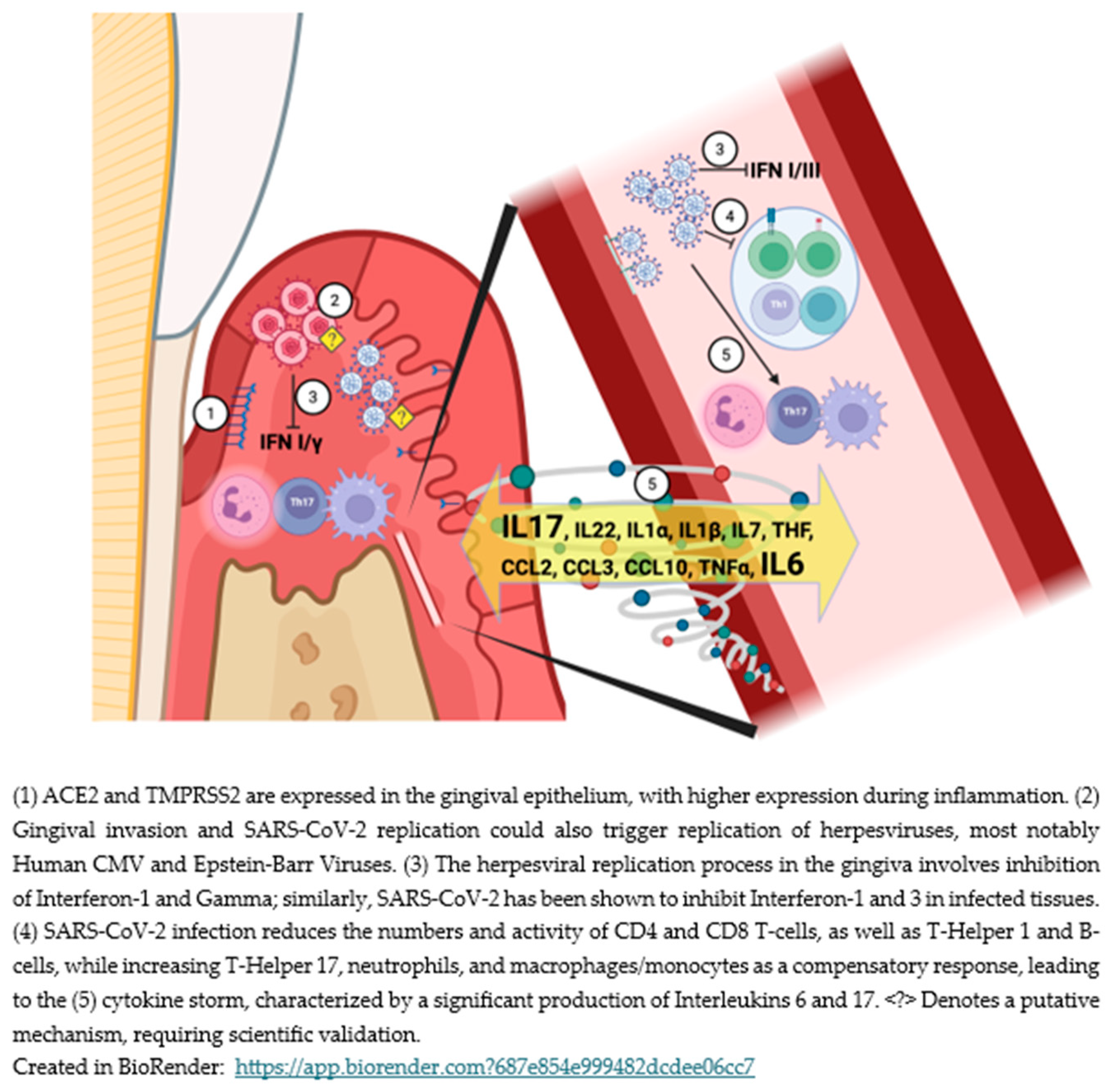 Preprints 184749 g001