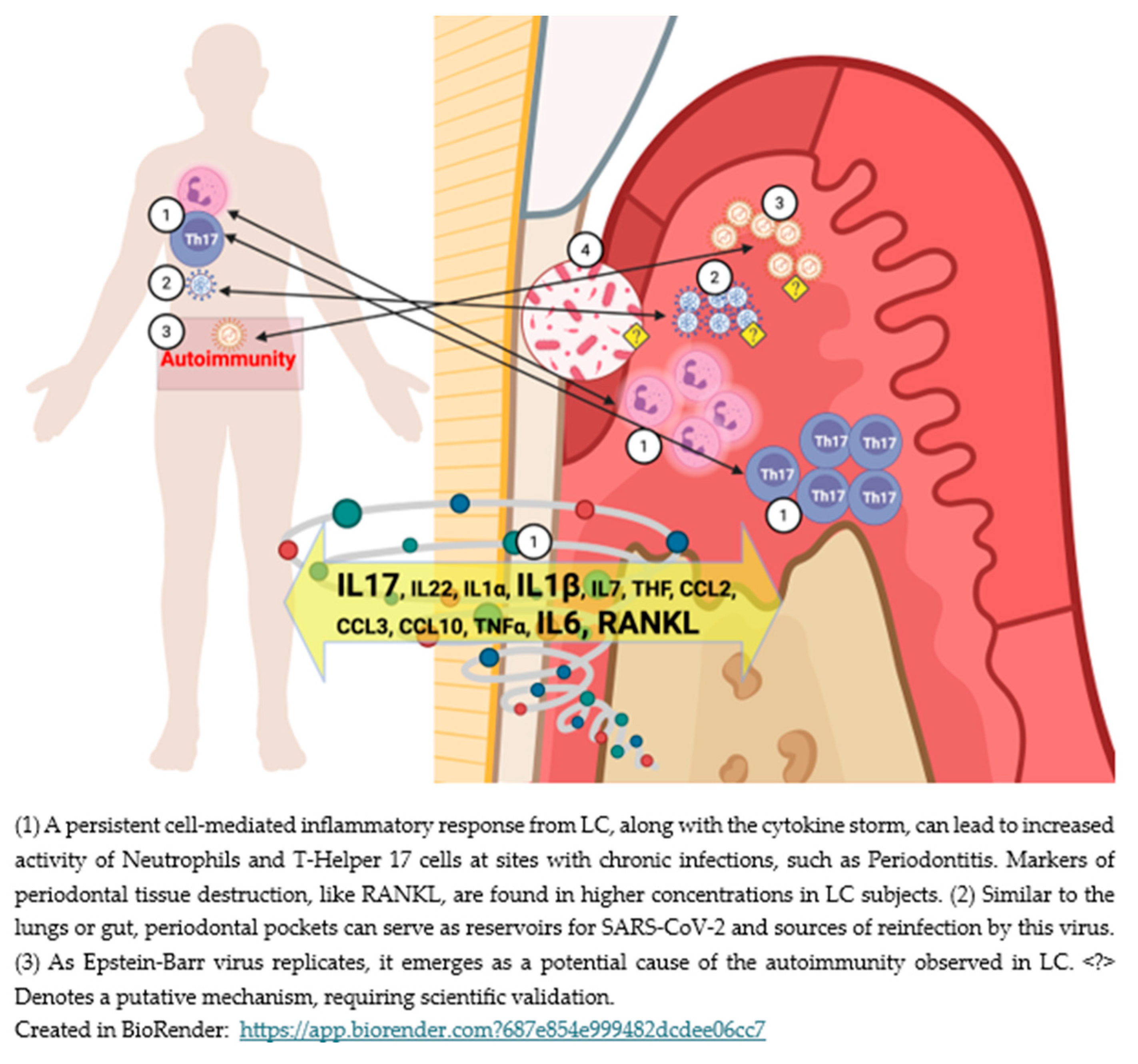 Preprints 184749 g002