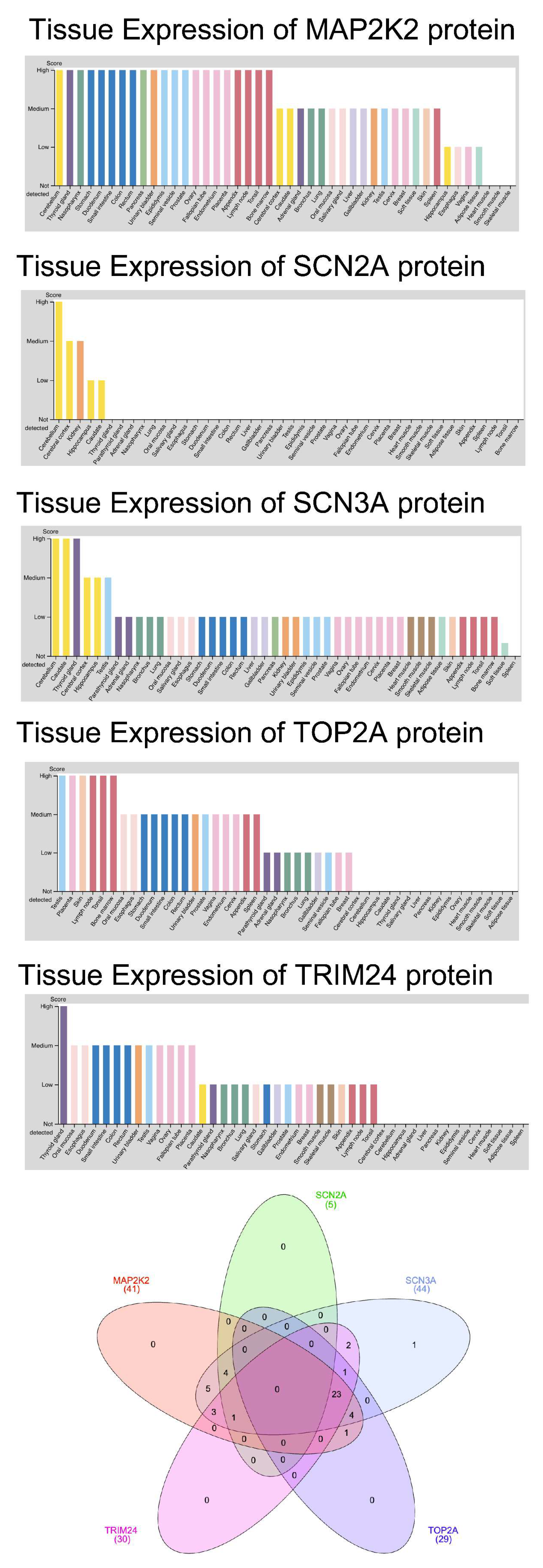 Preprints 157248 g003
