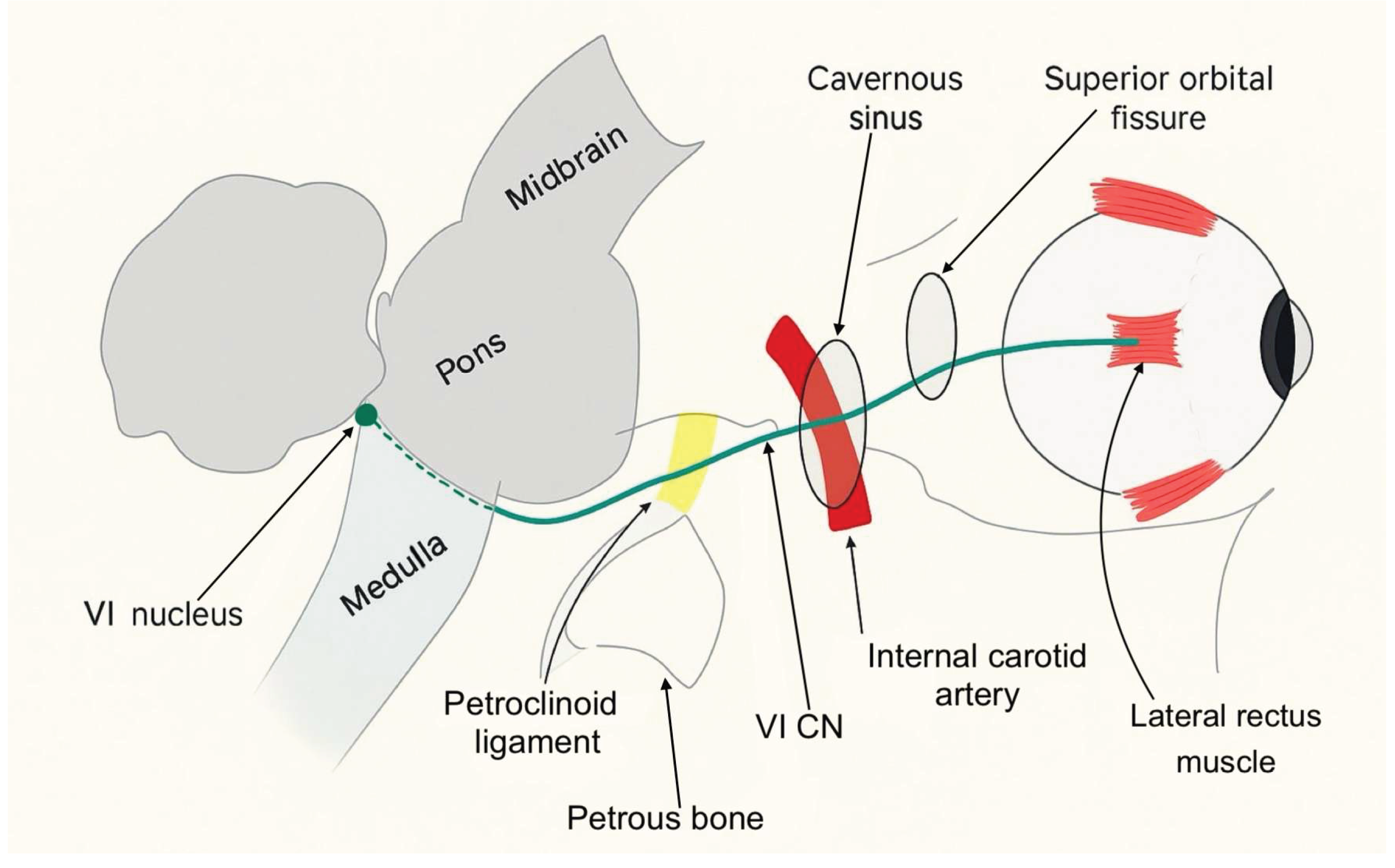 Preprints 178257 g001