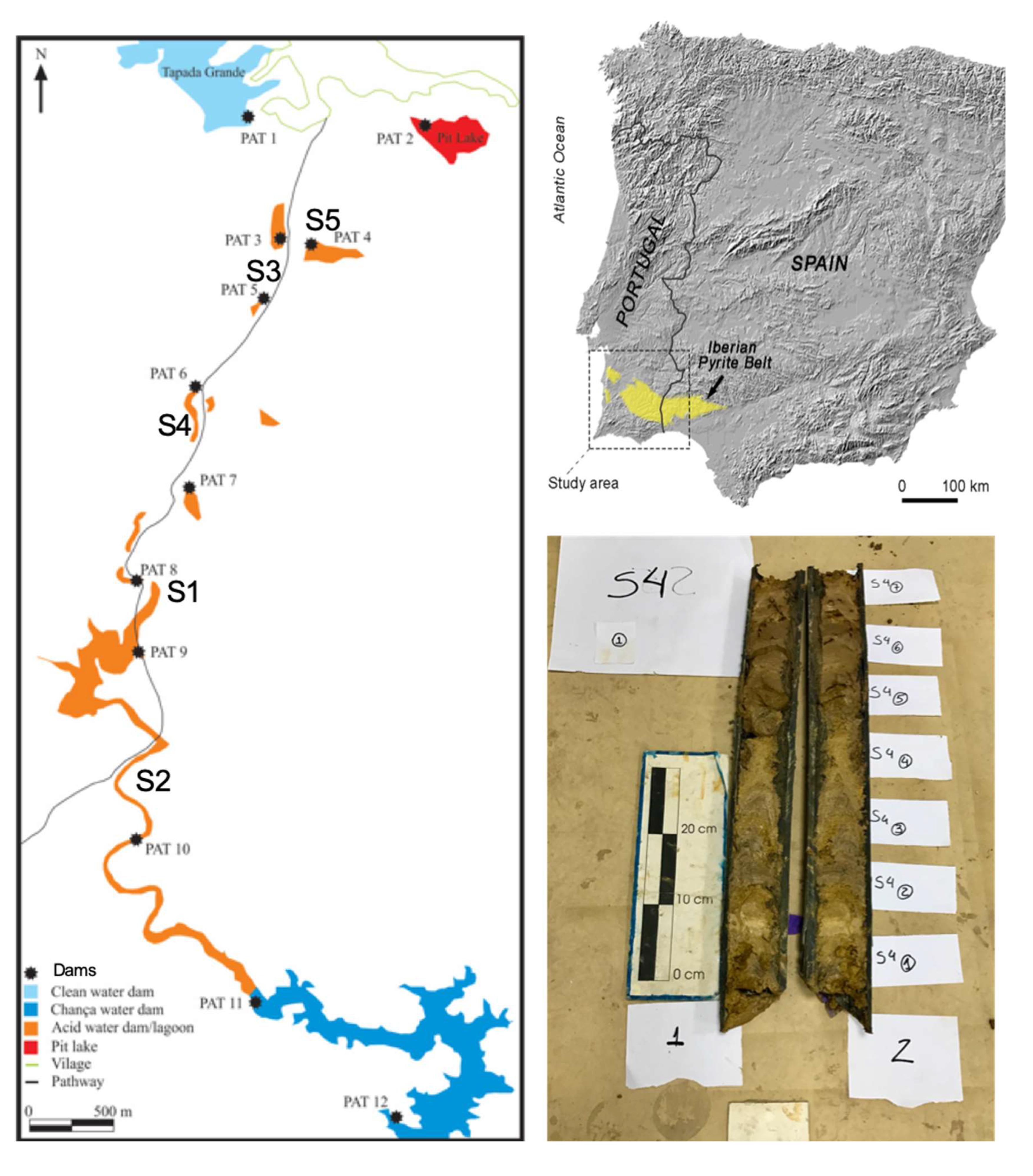 Preprints 159377 g001