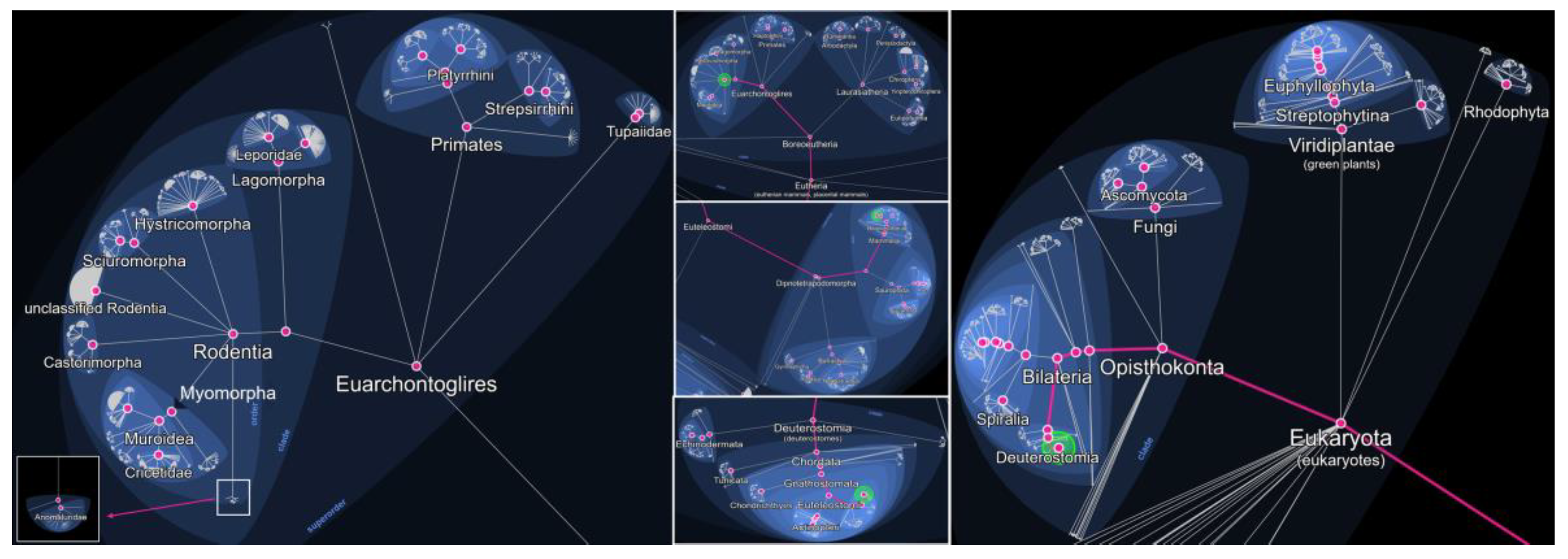 Preprints 166006 g001