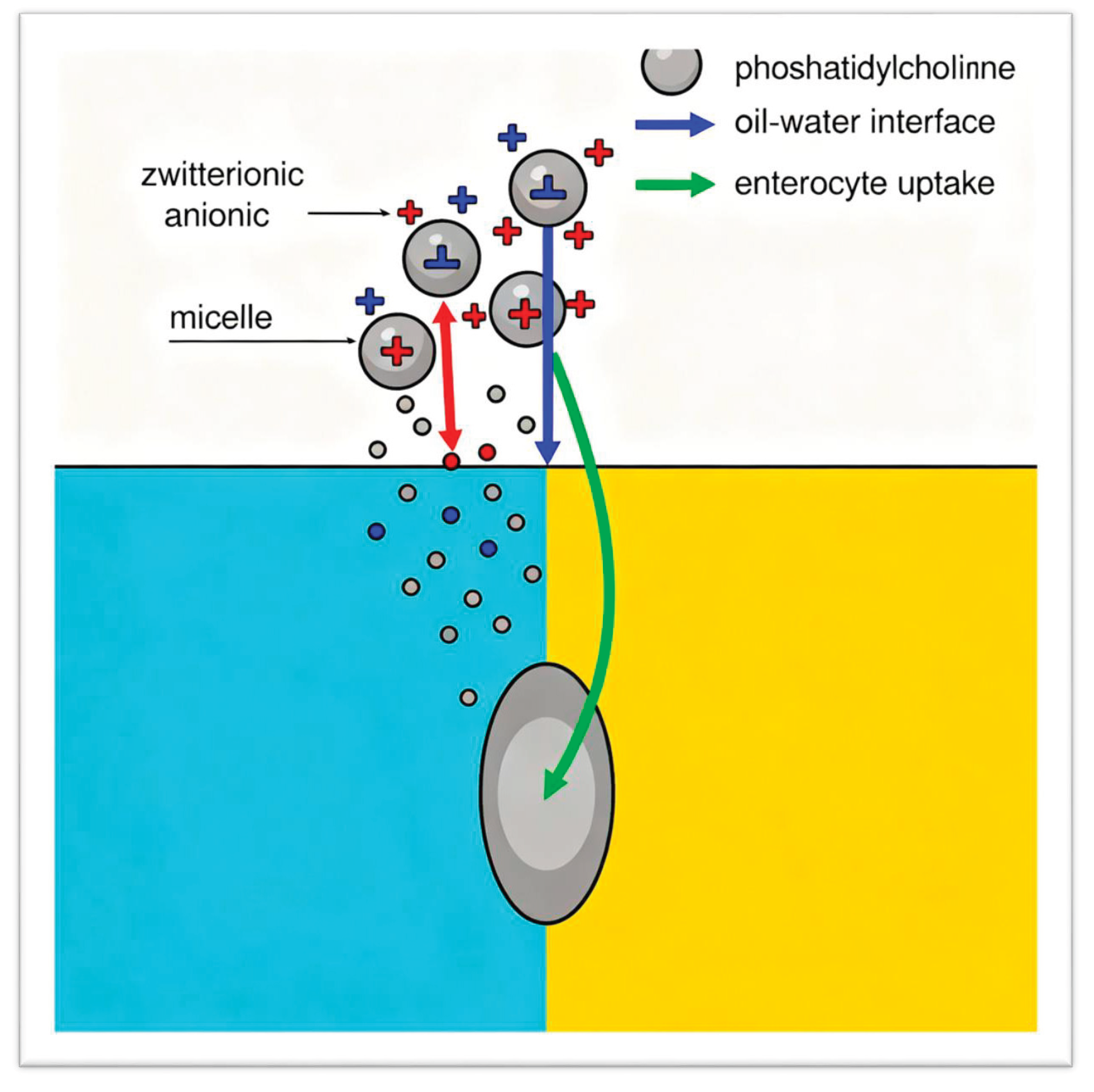 Preprints 181916 g001