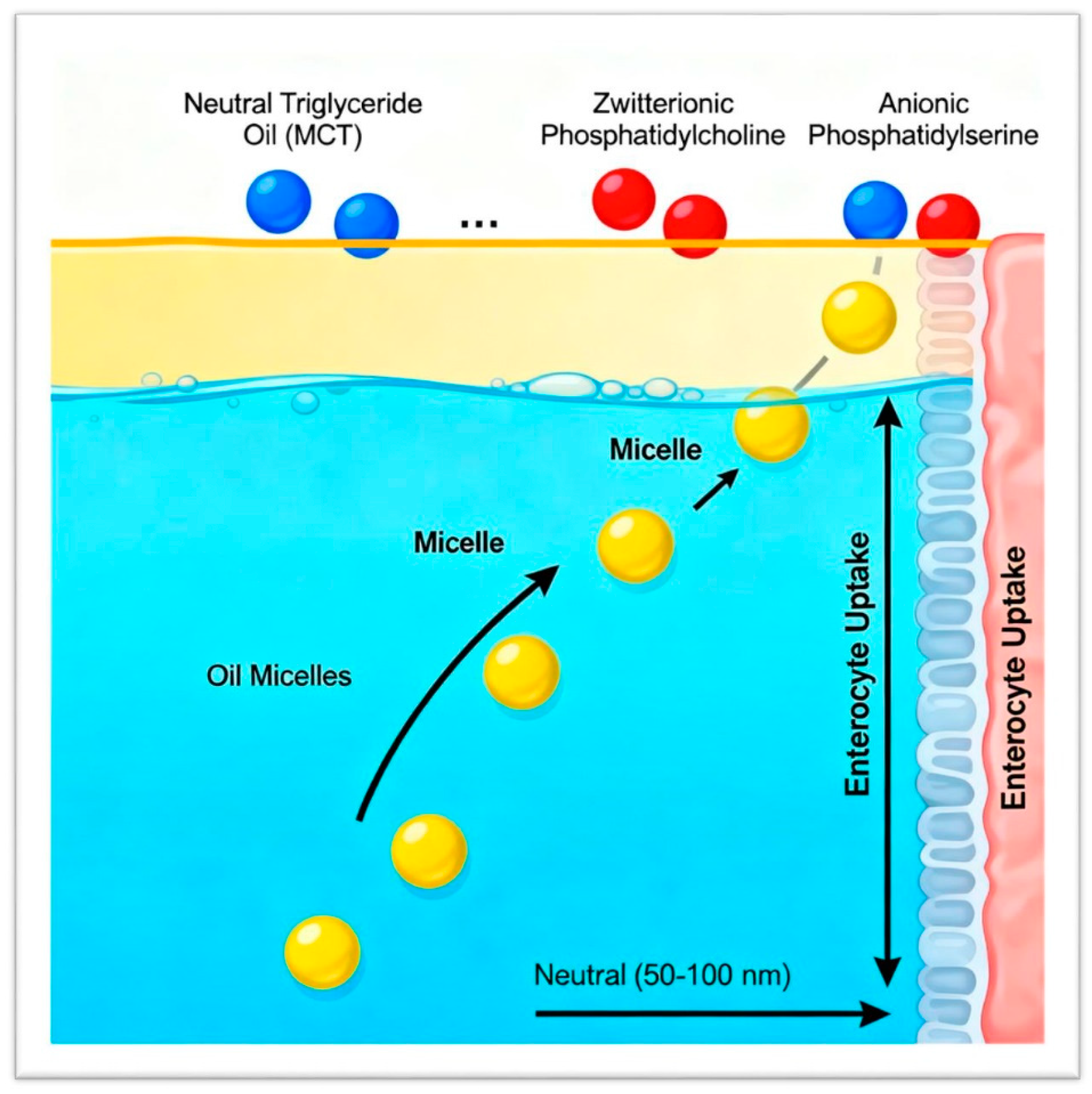 Preprints 181916 g002