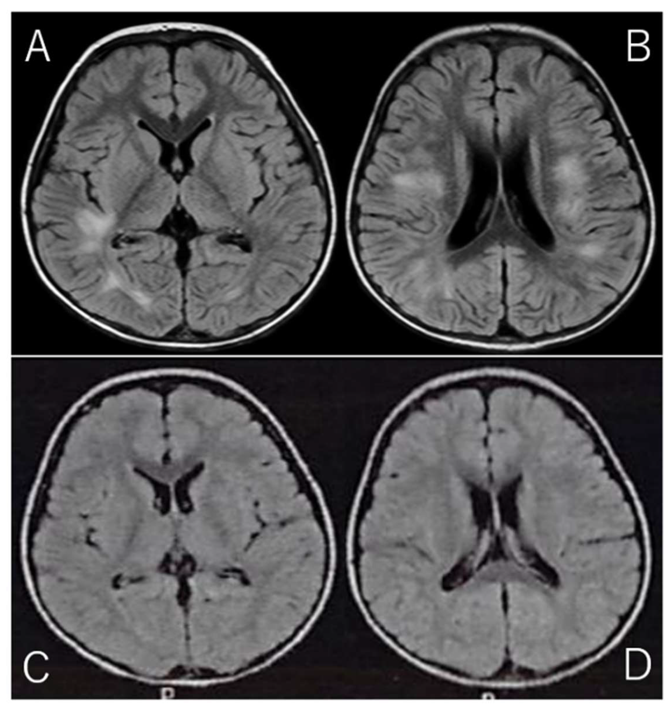 Preprints 140153 g001