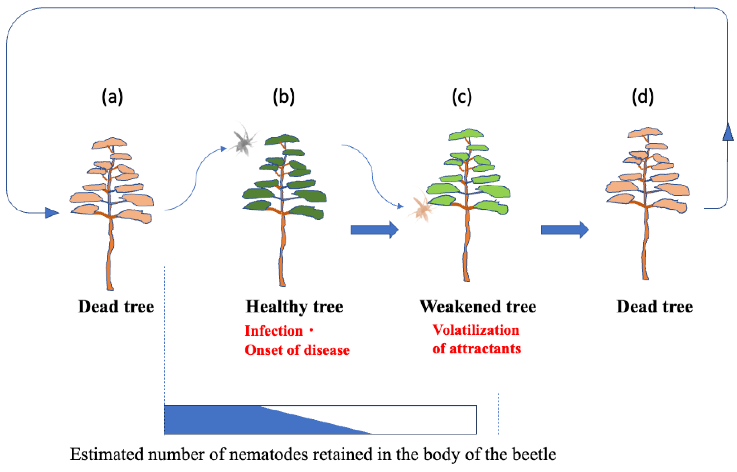 Preprints 152878 g001
