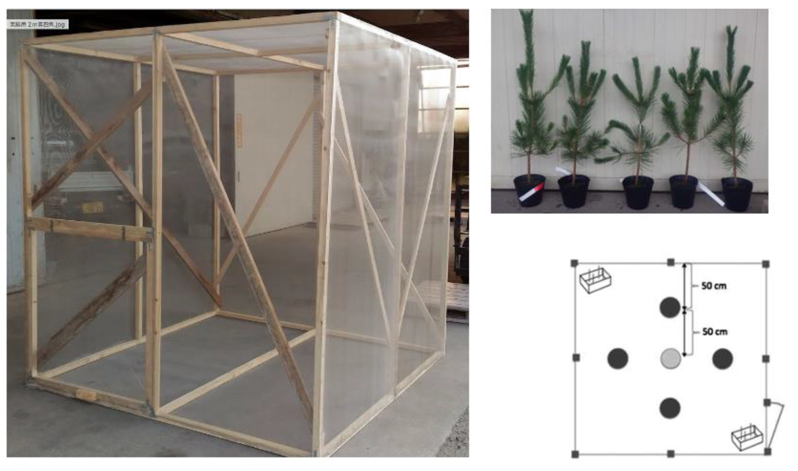 Preprints 152878 g002