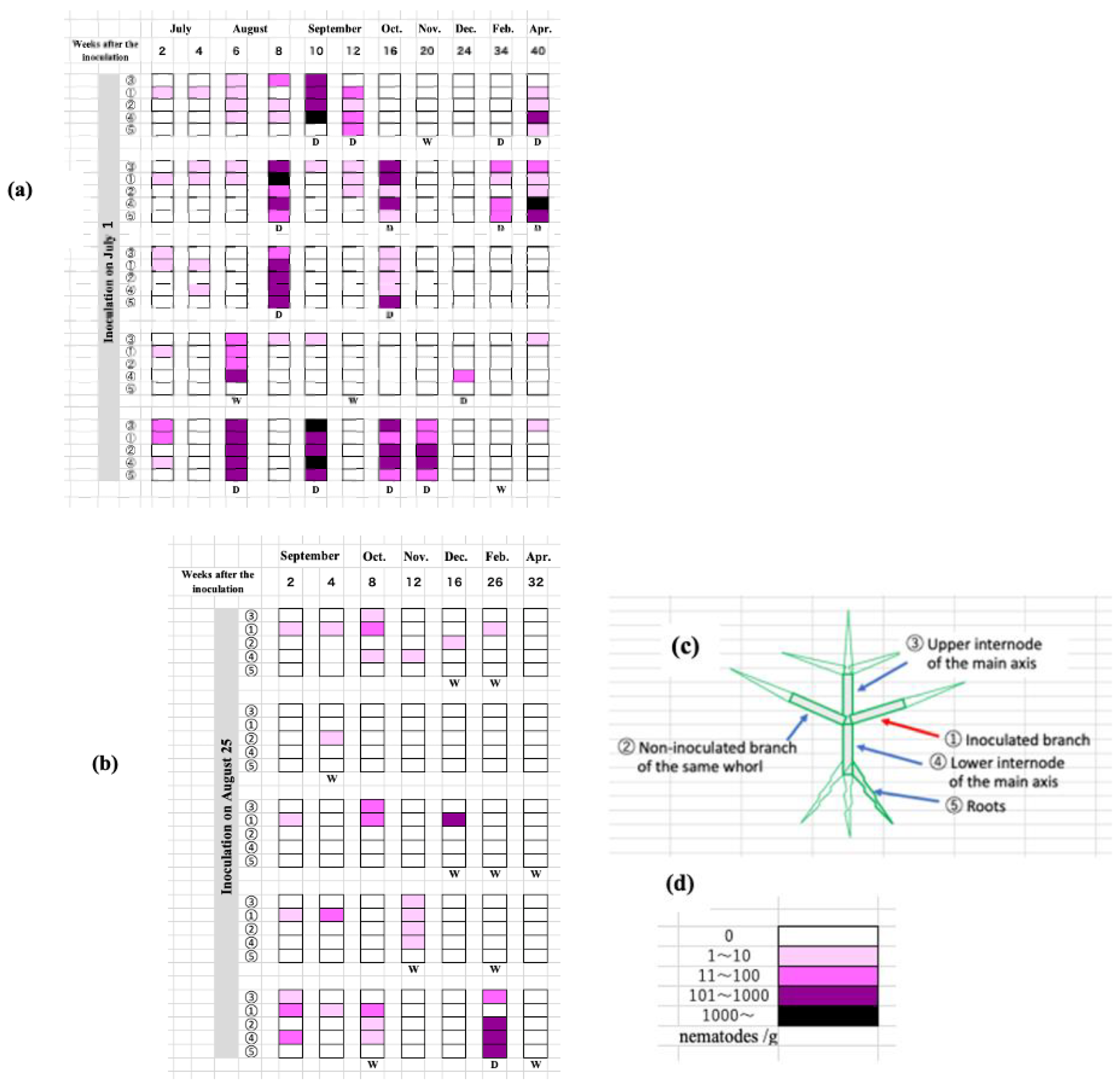Preprints 152878 g006