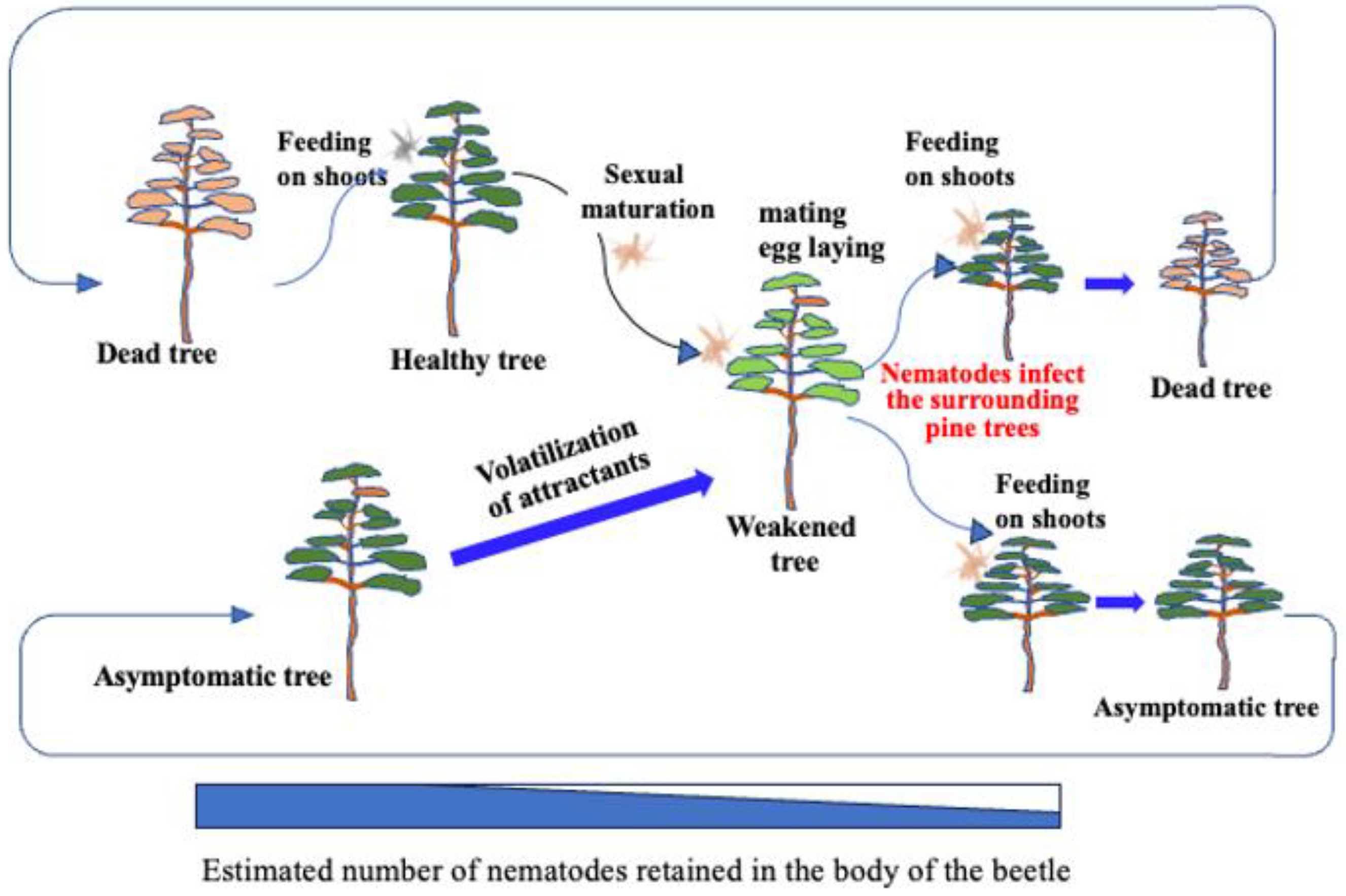 Preprints 152878 g008