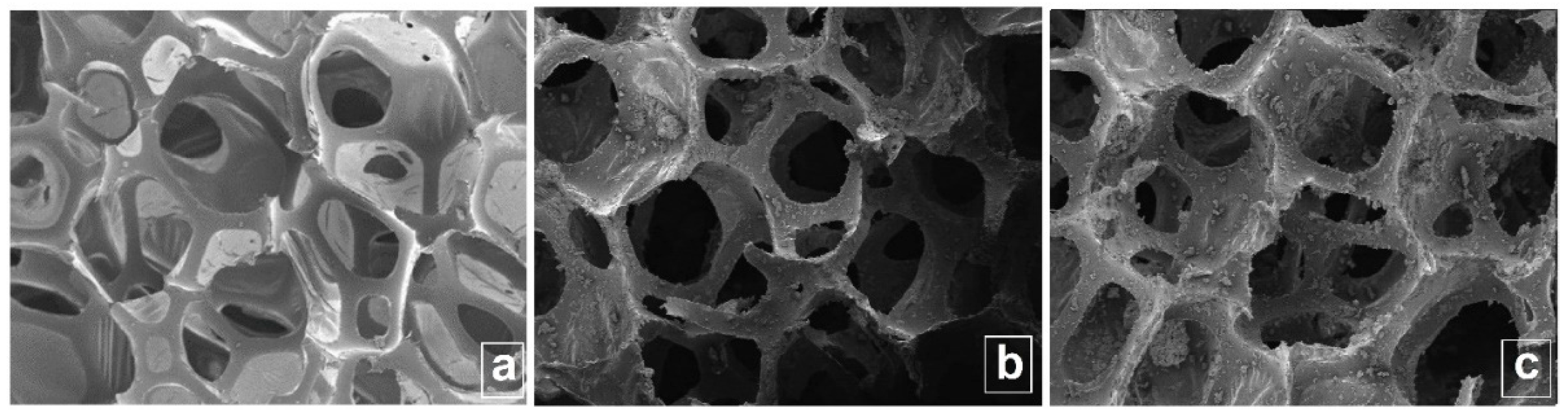 Preprints 84738 g002