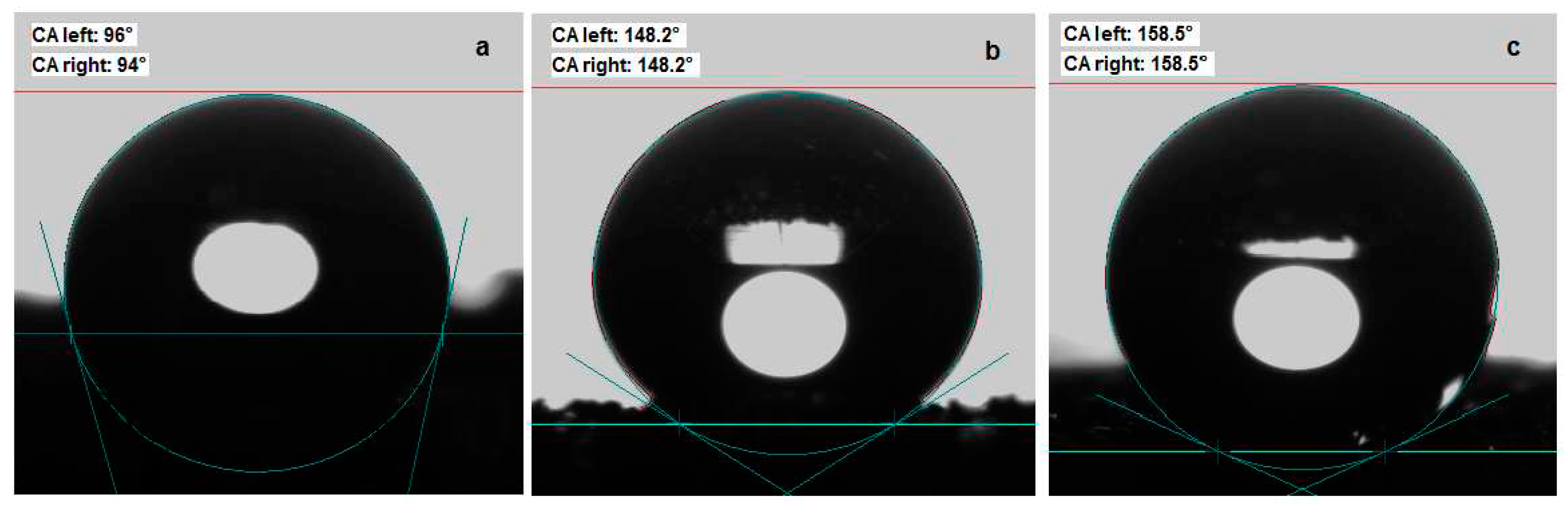 Preprints 84738 g003