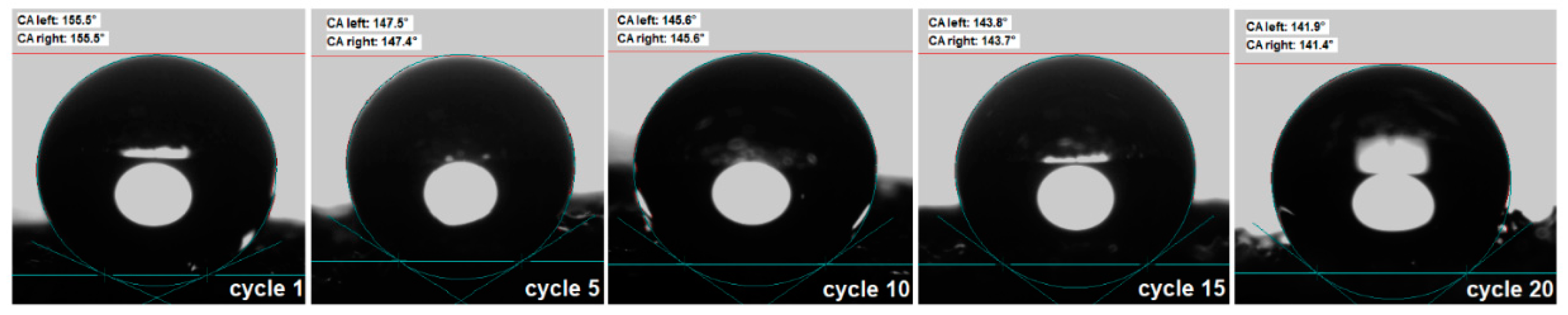 Preprints 84738 g007