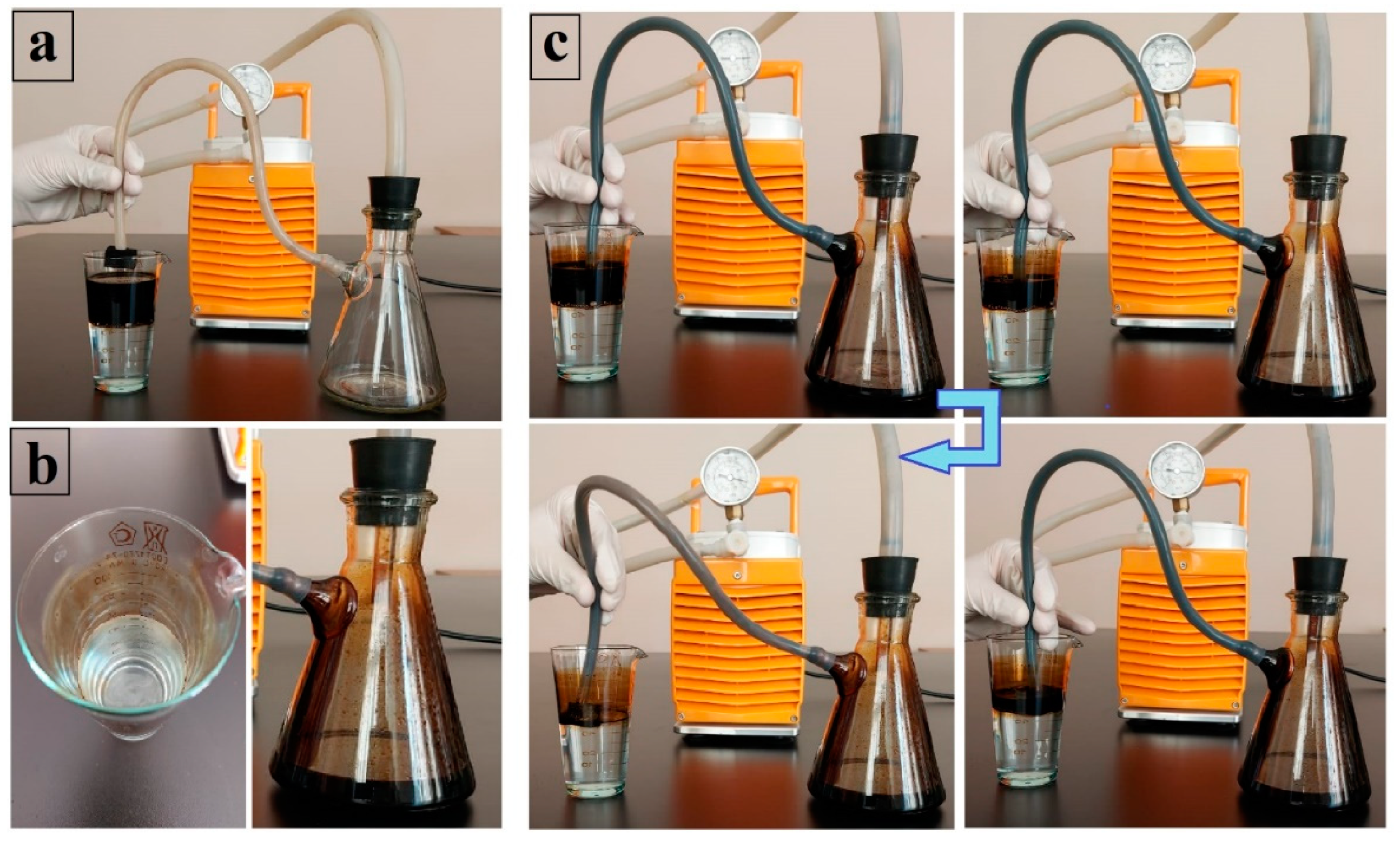 Preprints 84738 g010