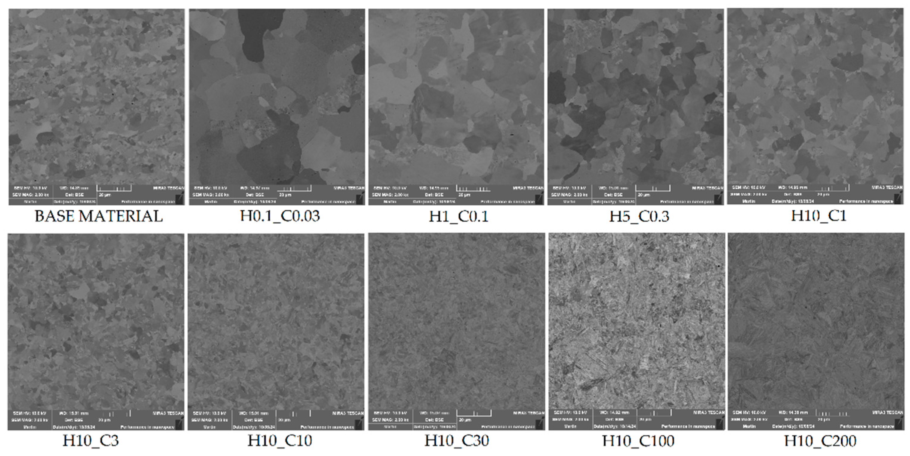 Preprints 140869 g010