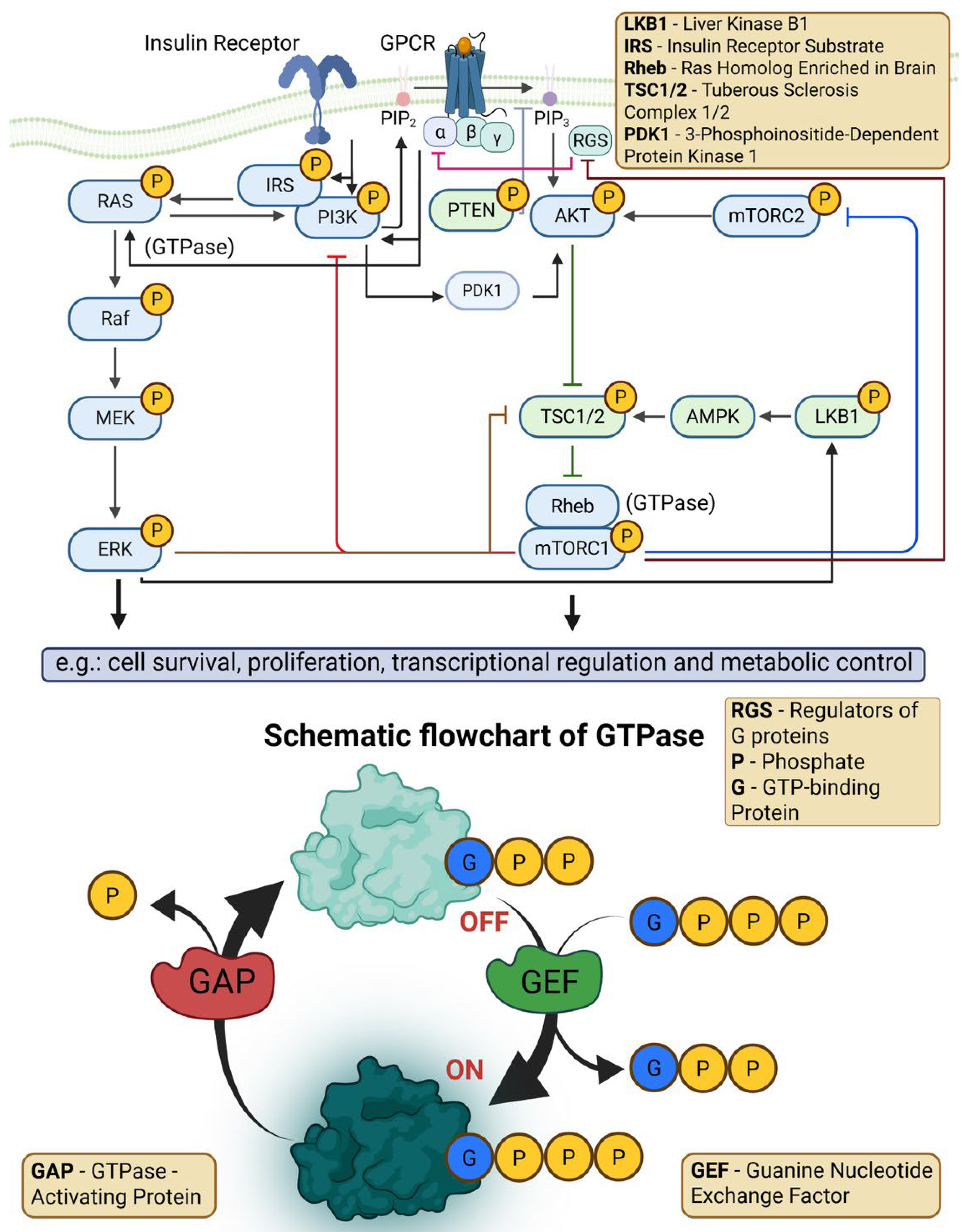 Preprints 190623 g003