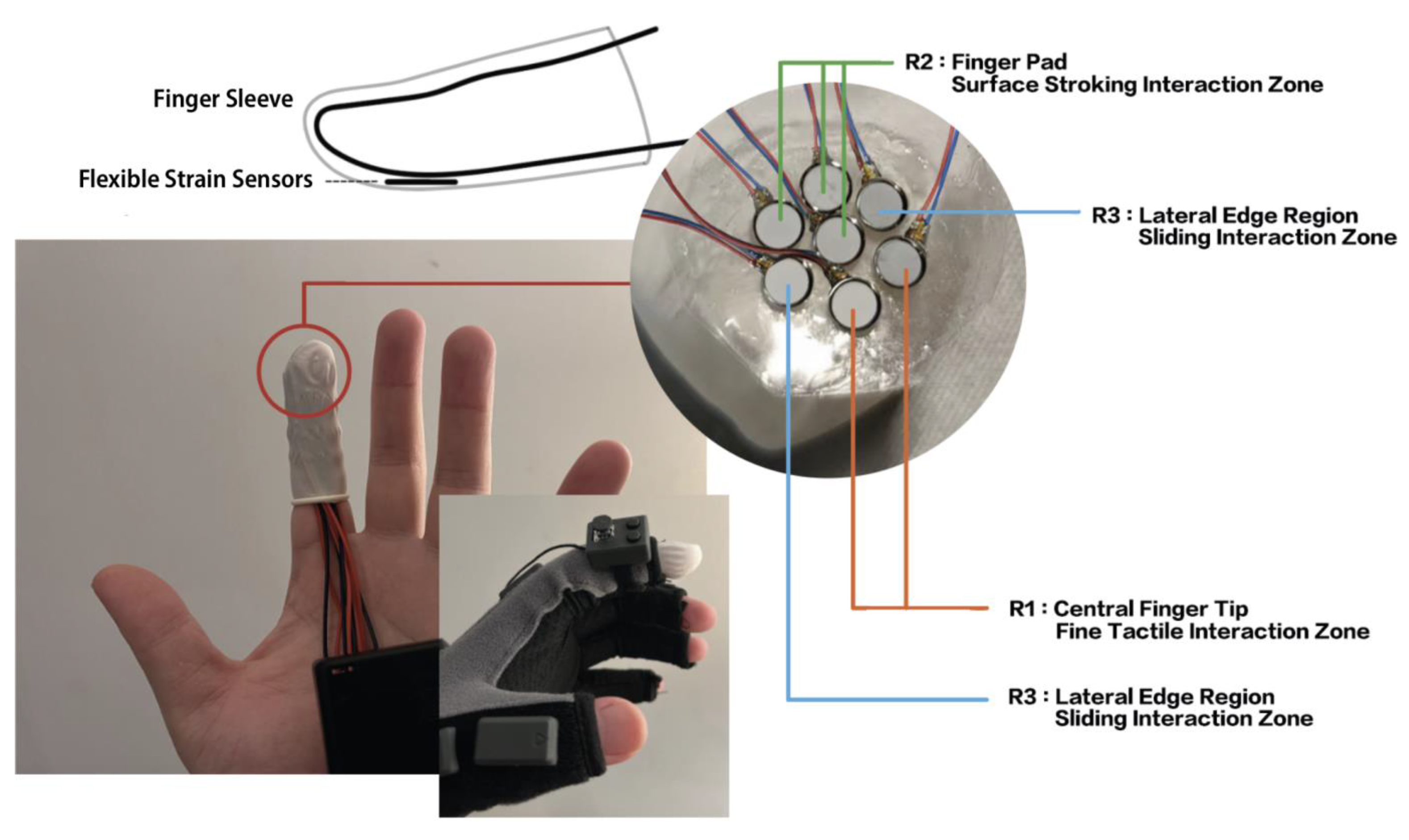 Preprints 209244 g002