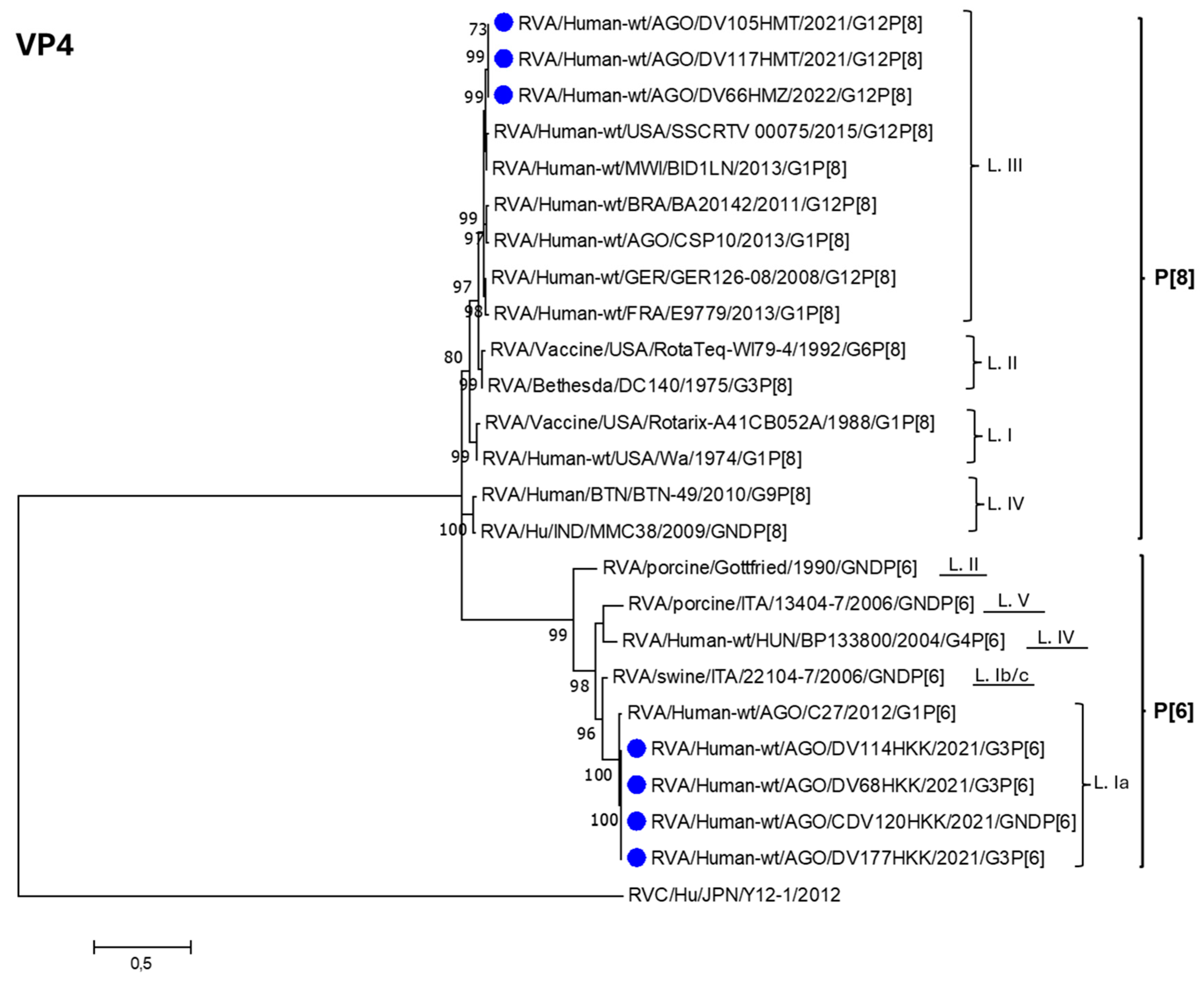 Preprints 157904 g002