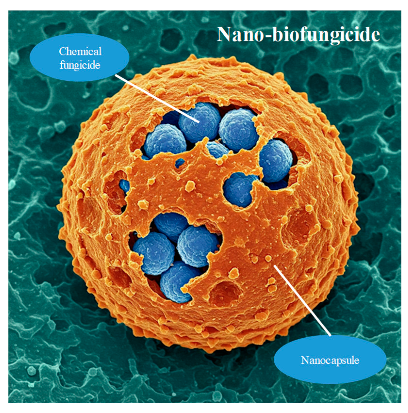 Preprints 150765 g001