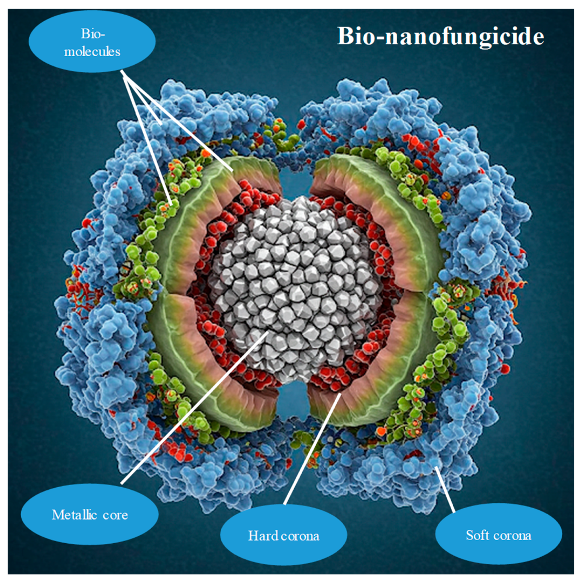 Preprints 150765 g002