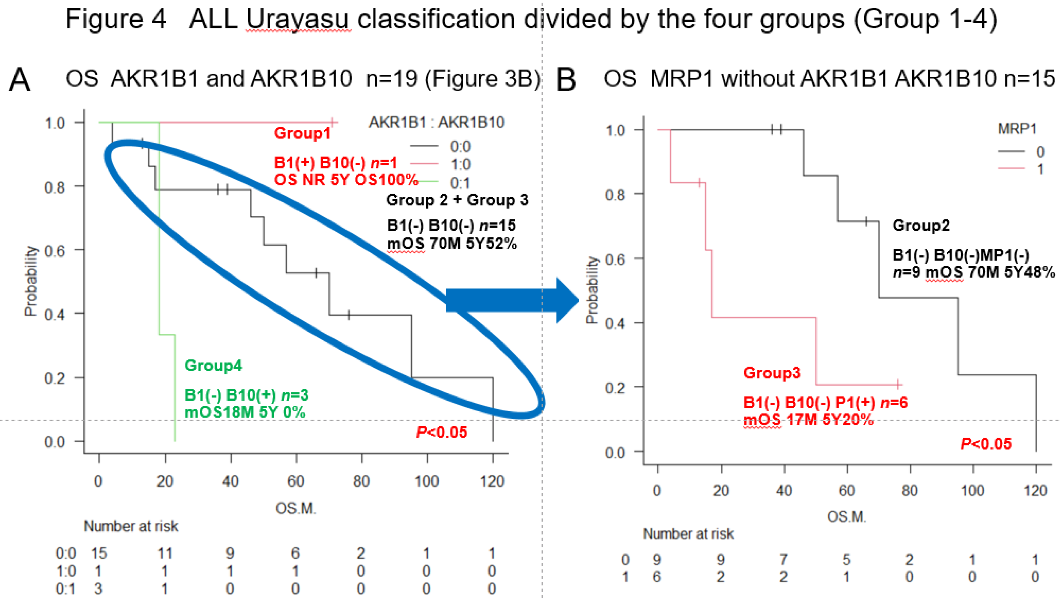 Preprints 189107 g004