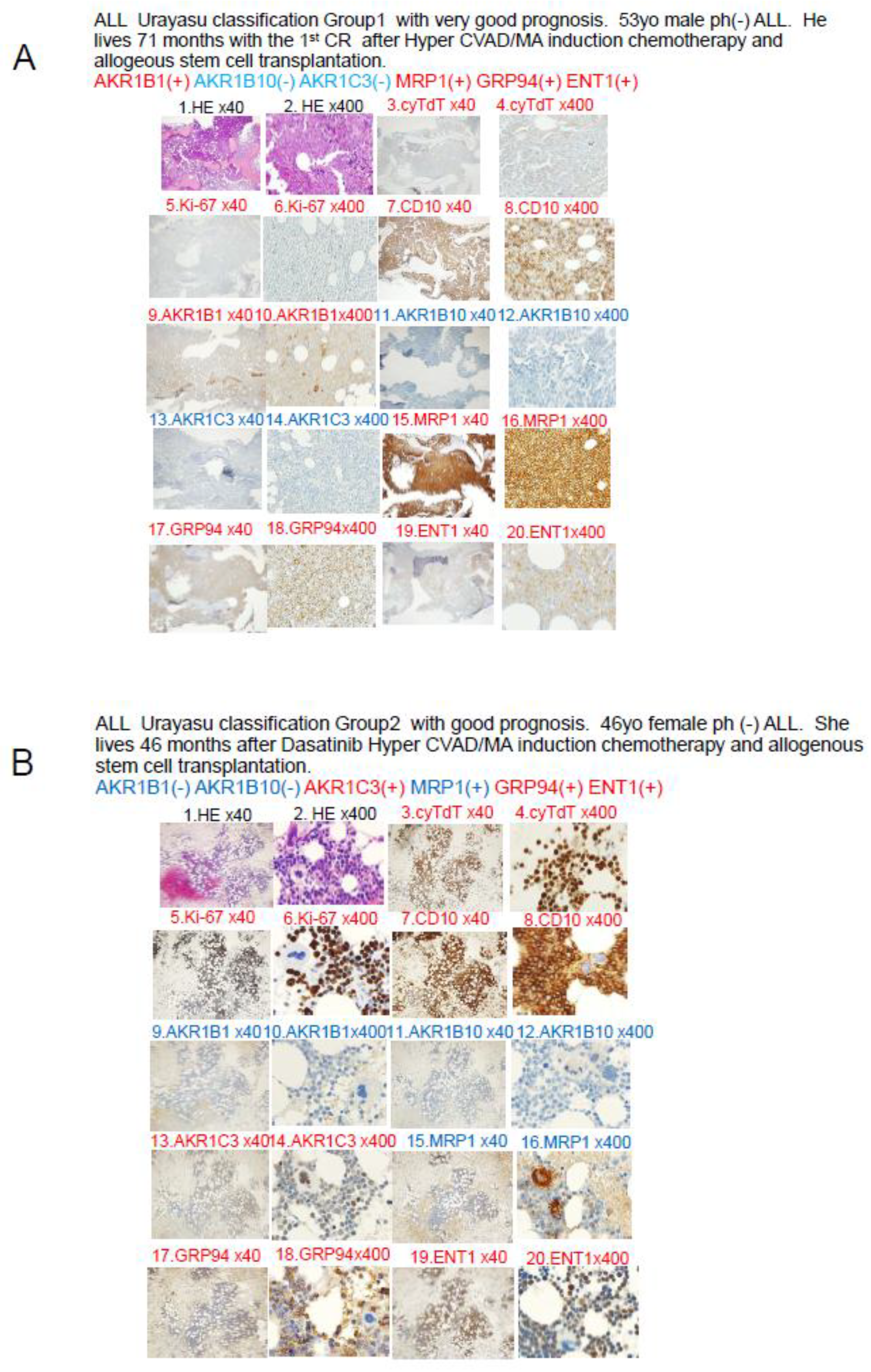 Preprints 189107 g005a