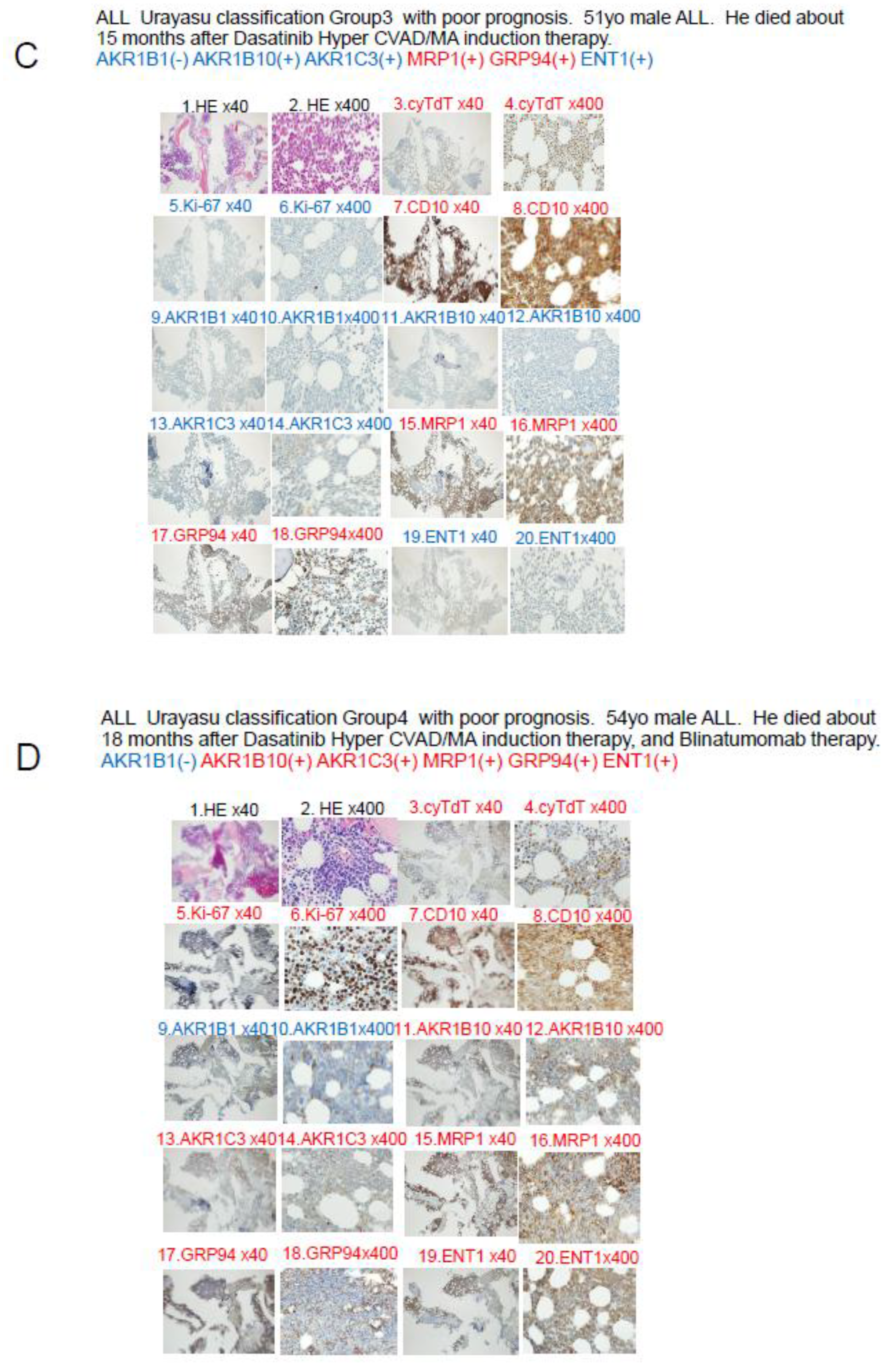 Preprints 189107 g005b
