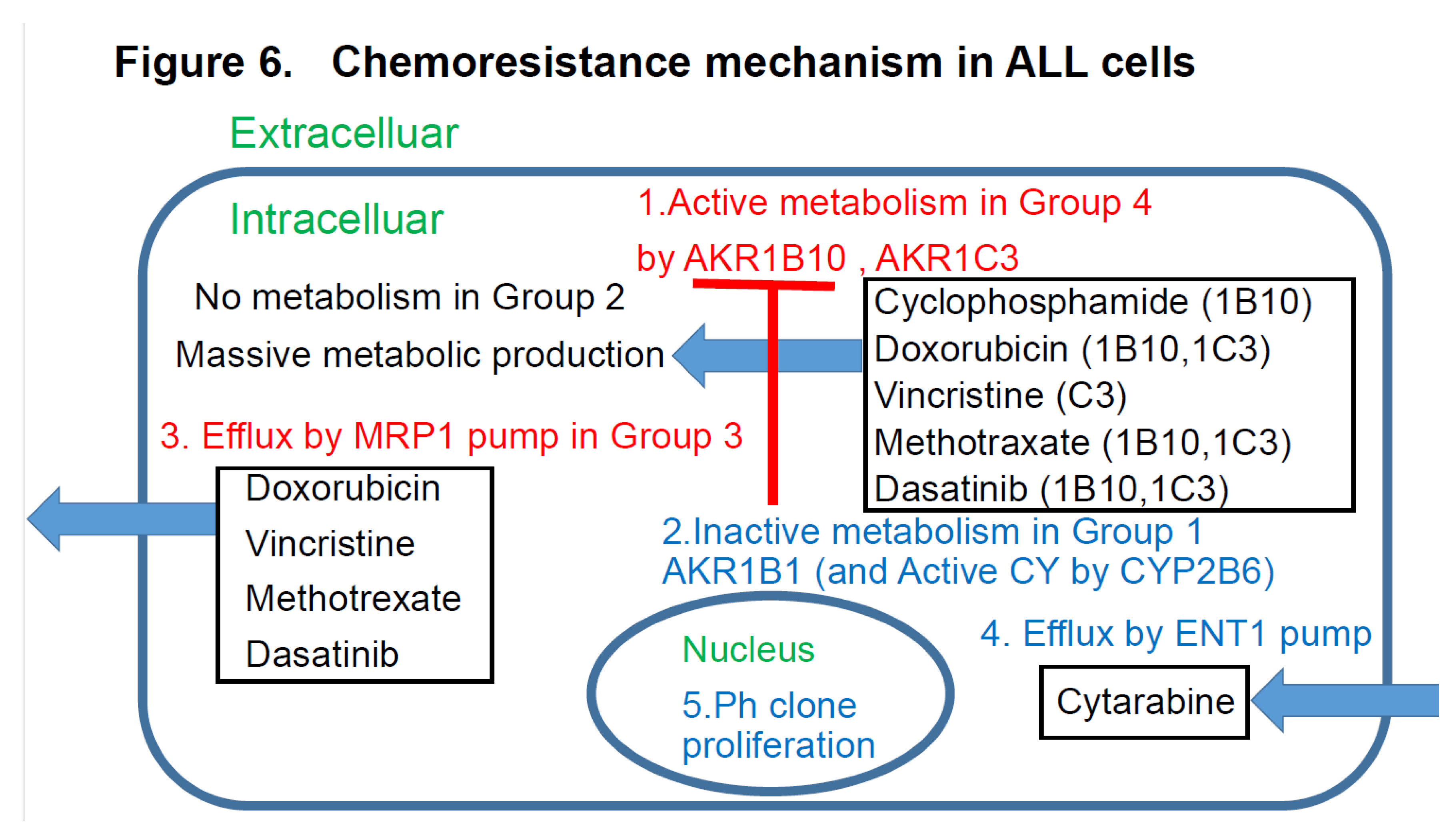 Preprints 189107 g006