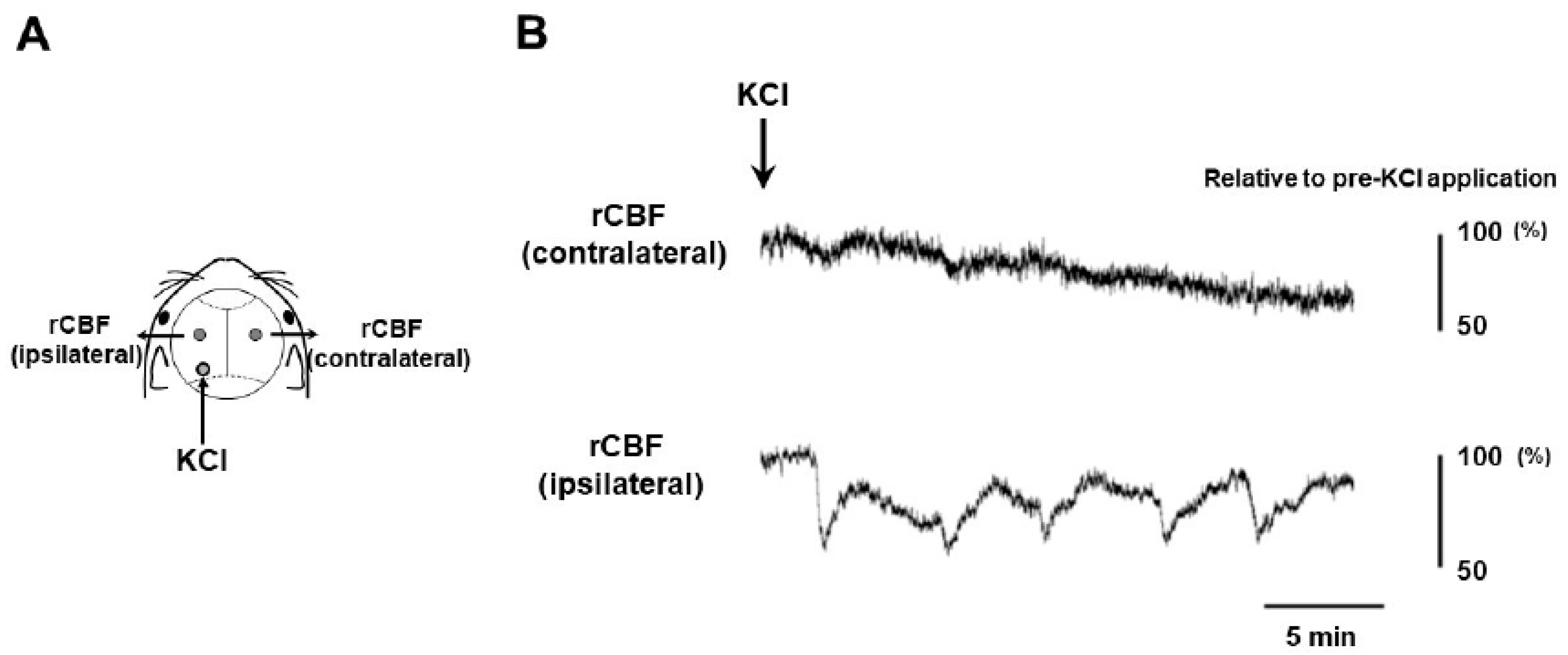 Preprints 72414 g001