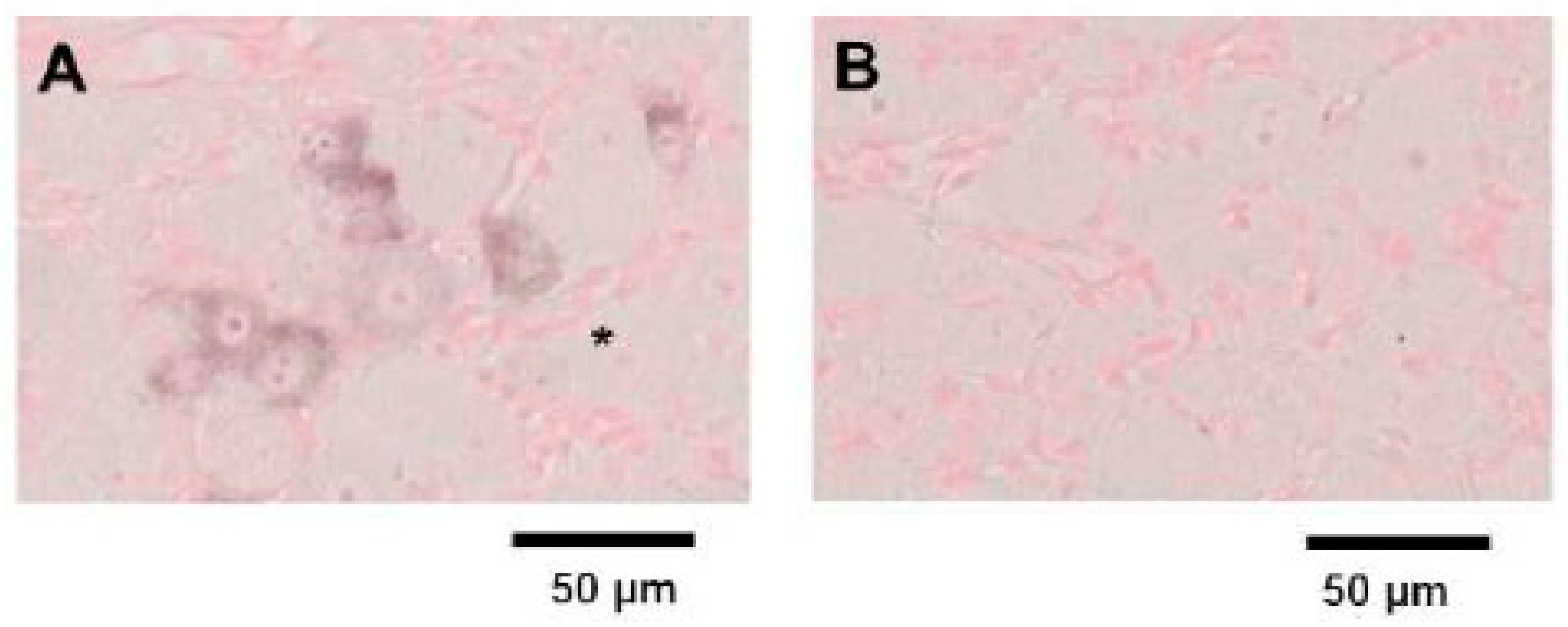 Preprints 72414 g002