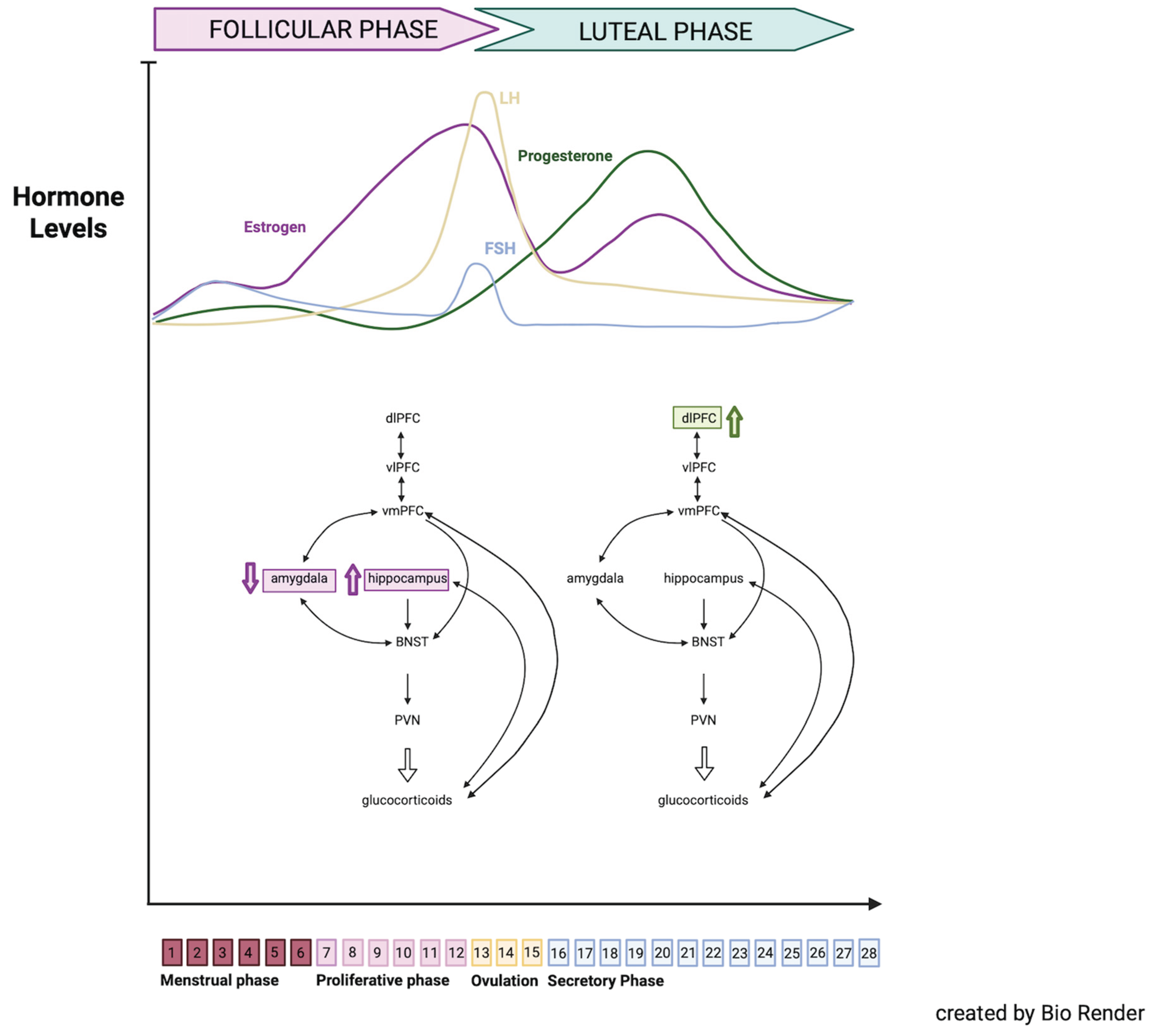 Preprints 177542 g001