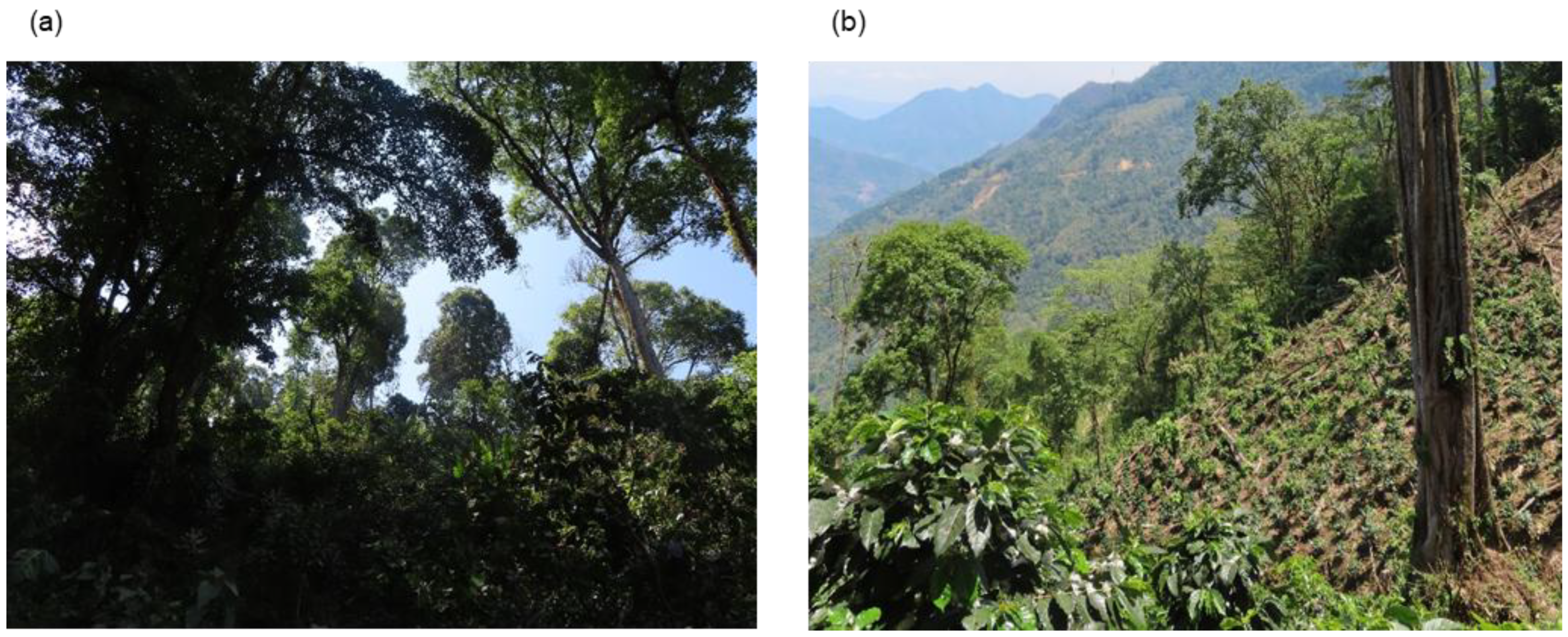 Preprints 185078 g001