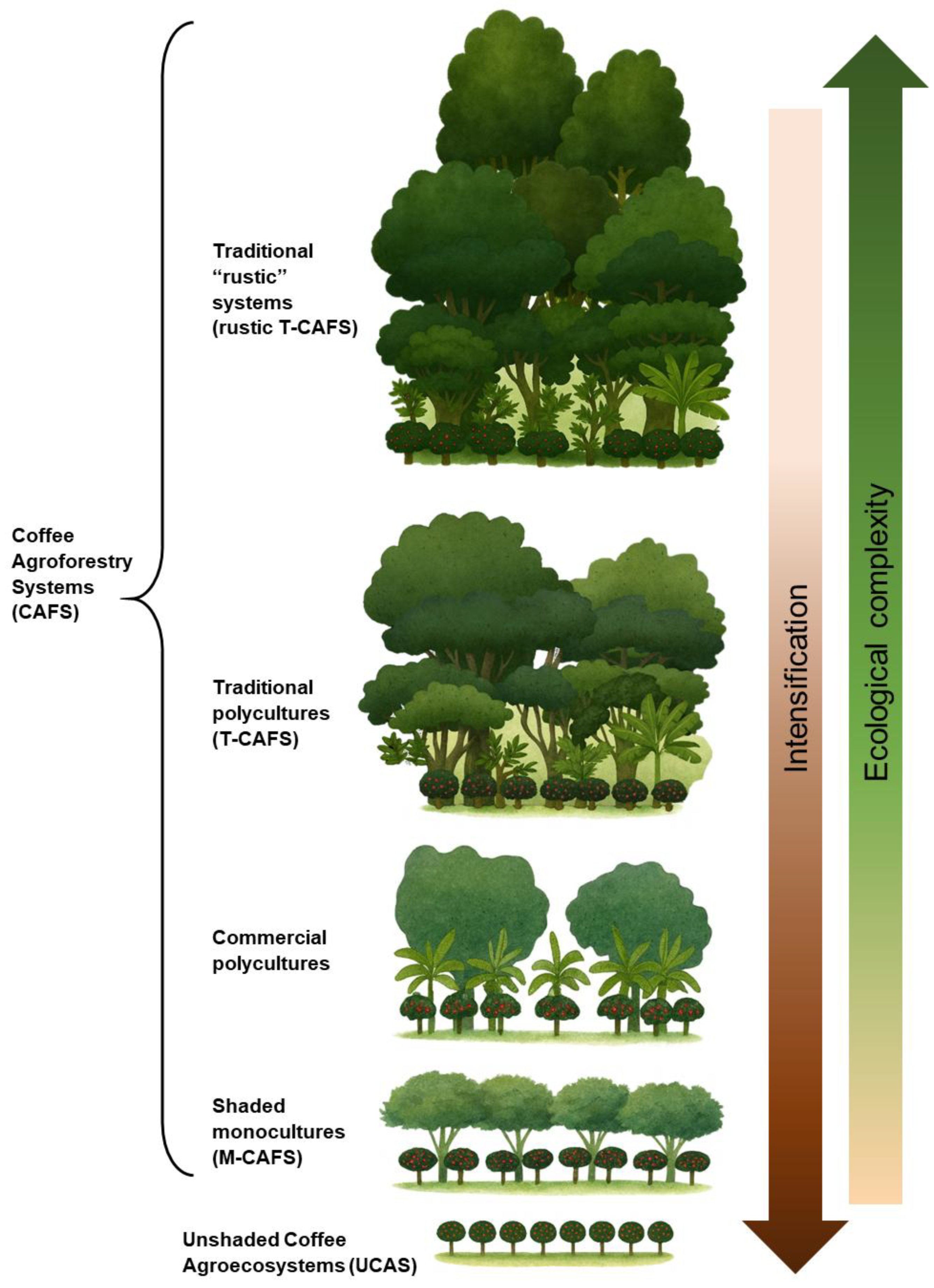 Preprints 185078 g002