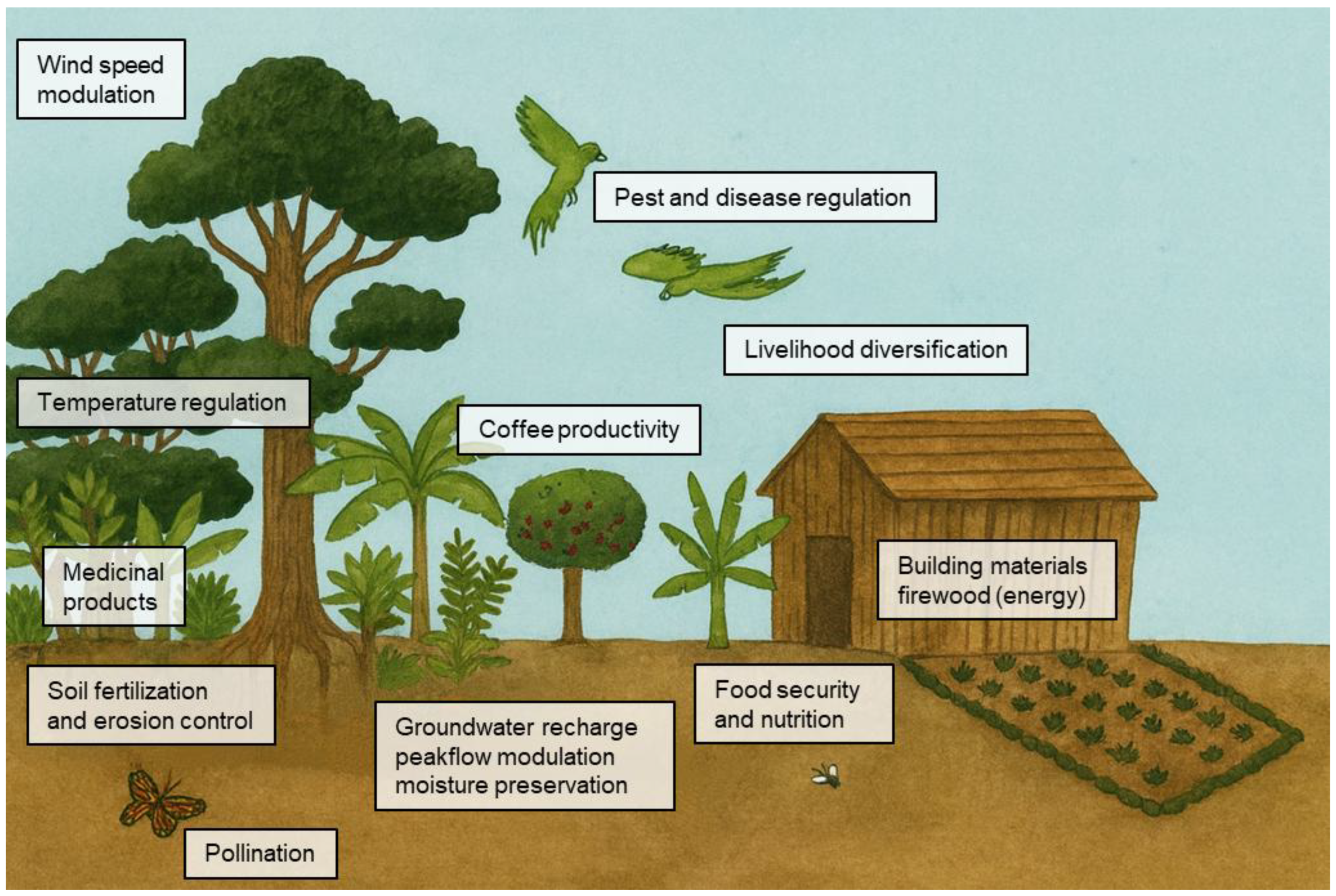 Preprints 185078 g006