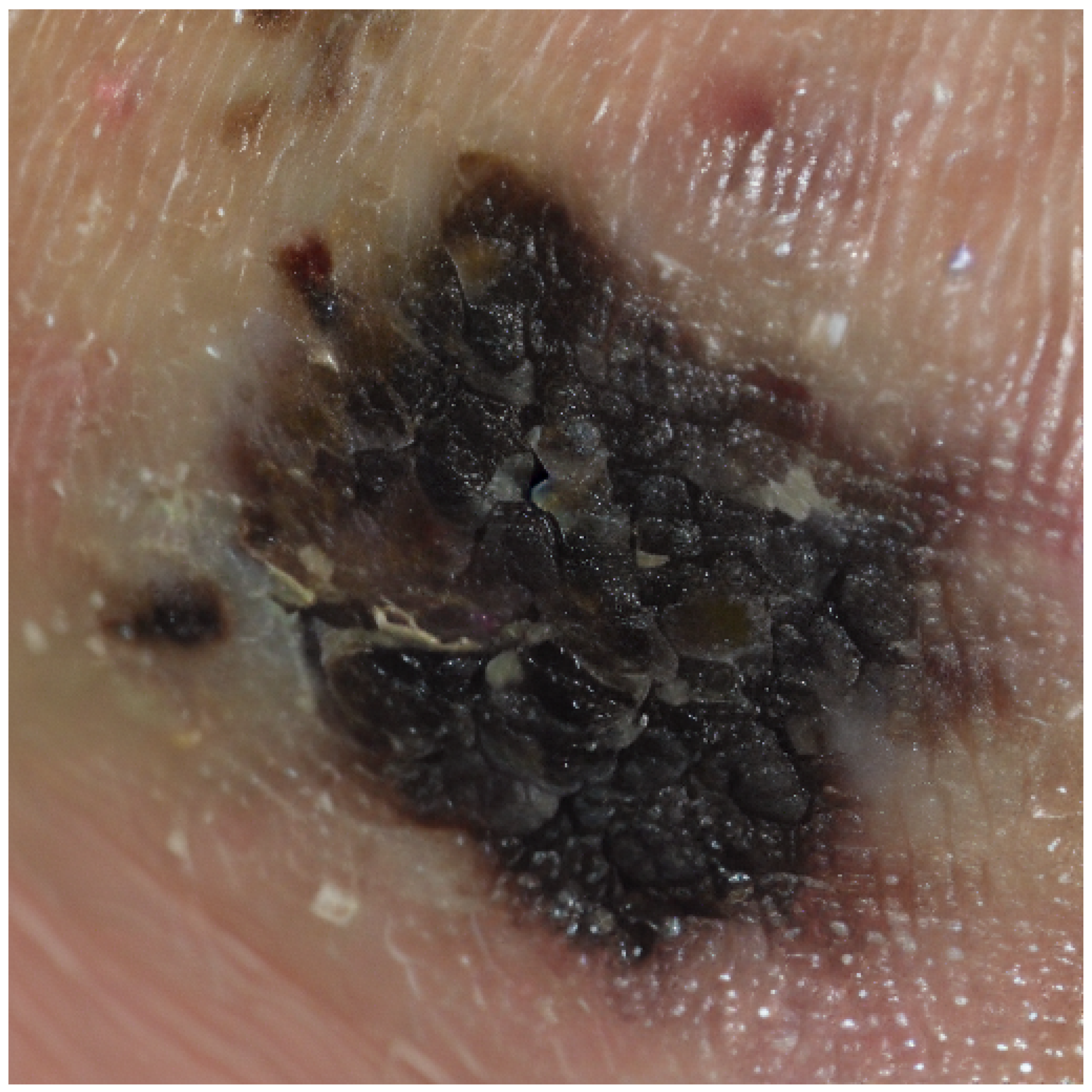 Preprints 186672 g001