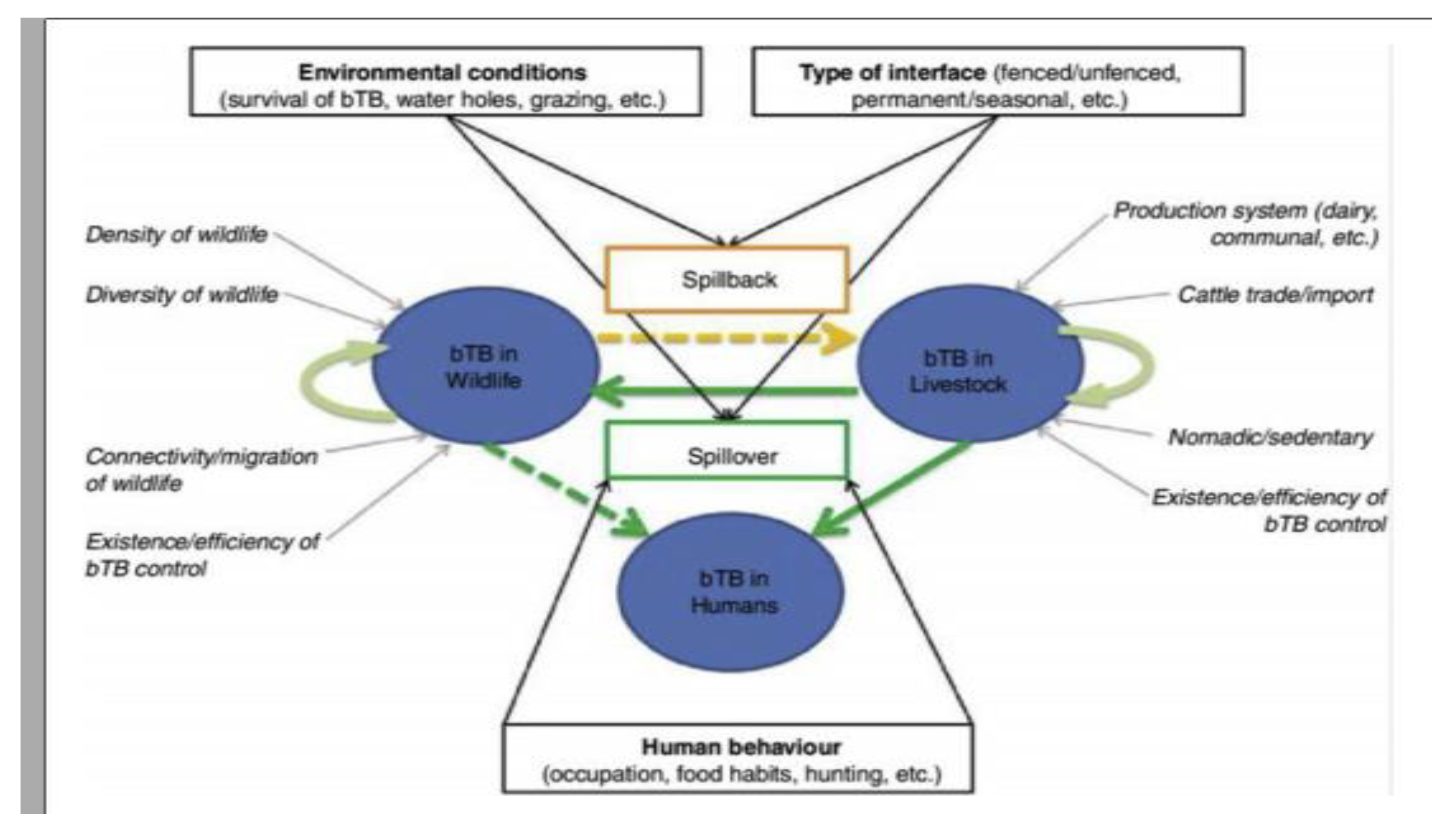 Preprints 88141 g002